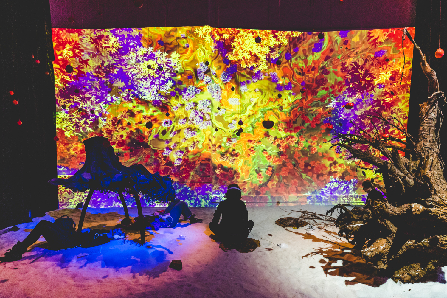 Noise Pop Fest 2020 32 The End of You Gray Area Ian Young