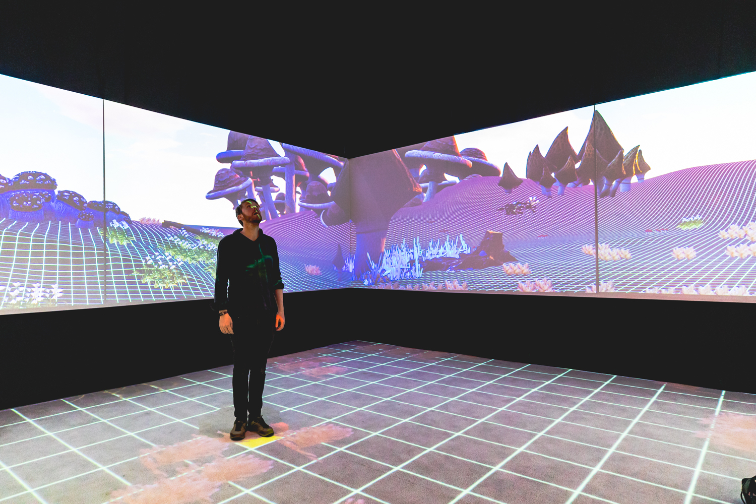 Noise Pop Fest 2020 34 The End of You Gray Area Ian Young