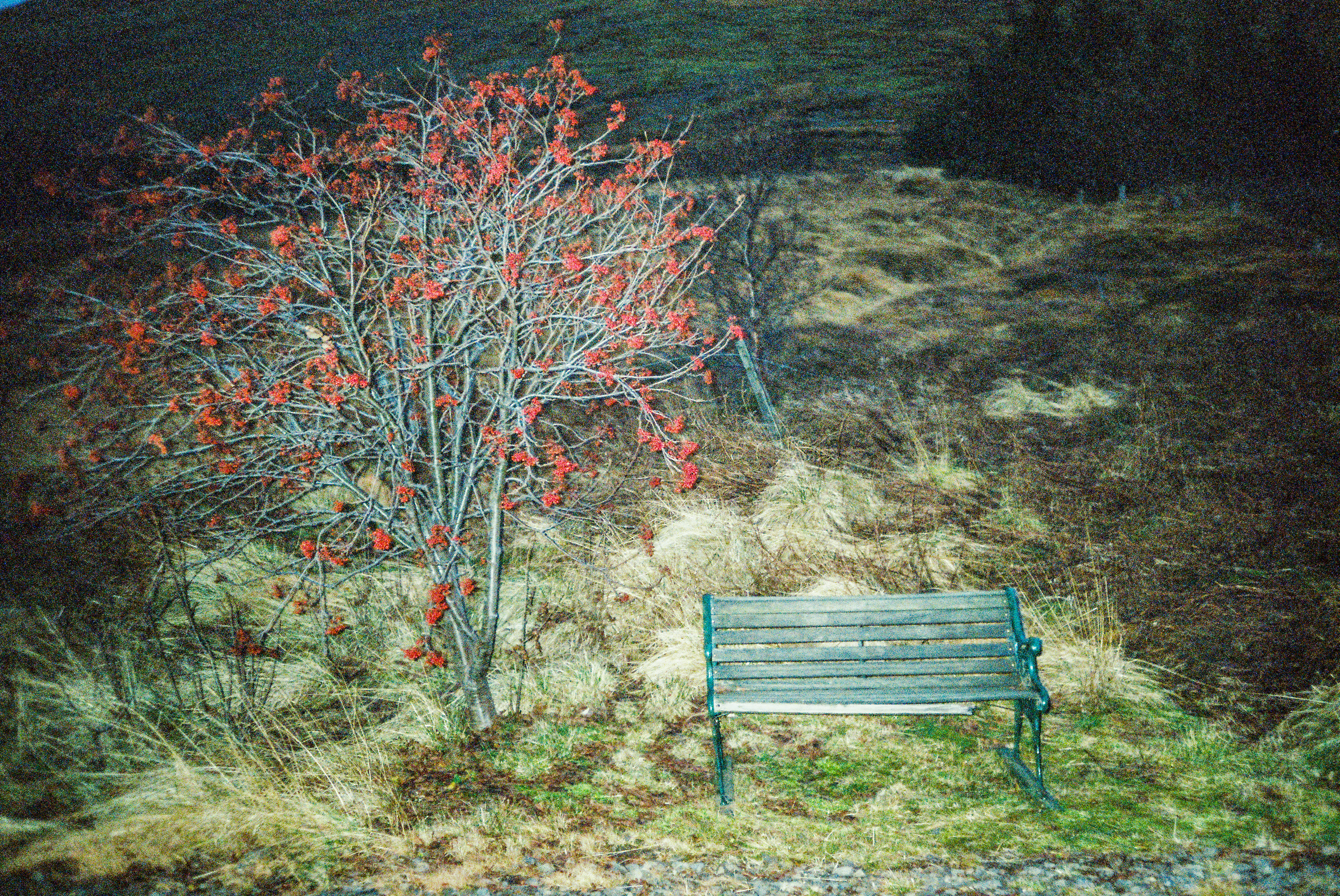 AIRWAVES CABIN DAY 57