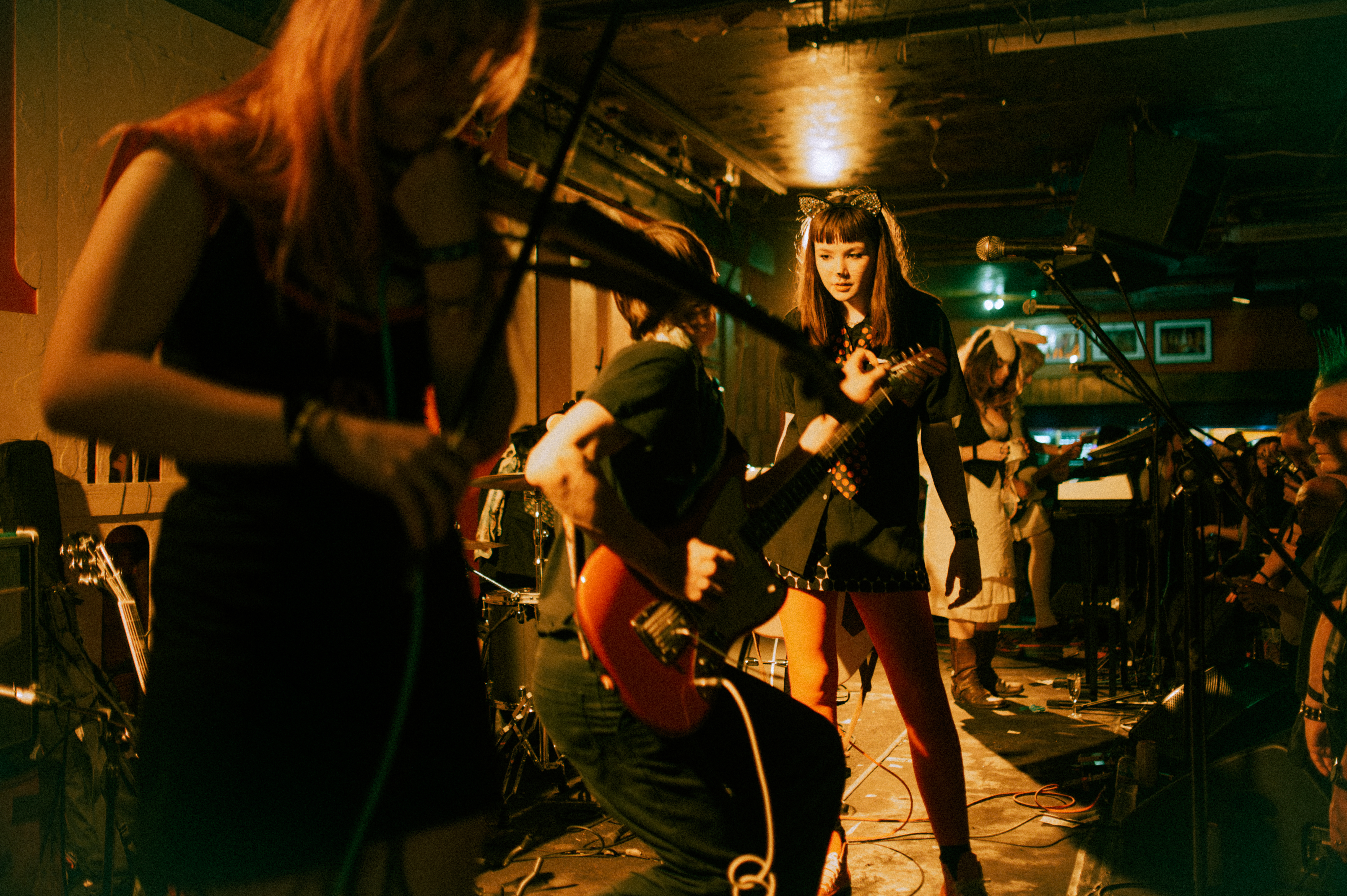 DSC 3777 Enhanced NR