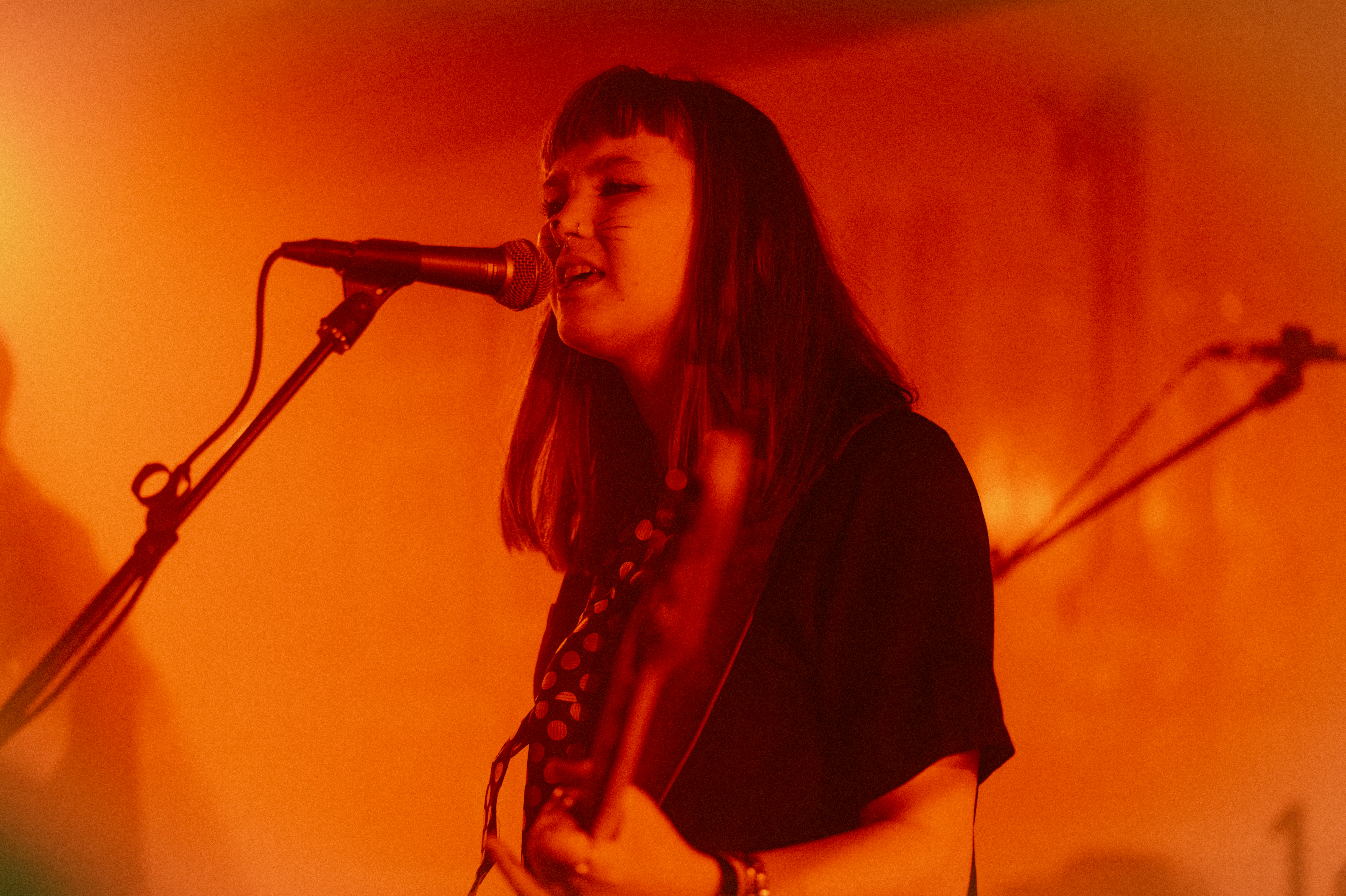 DSC 3994 Enhanced NR