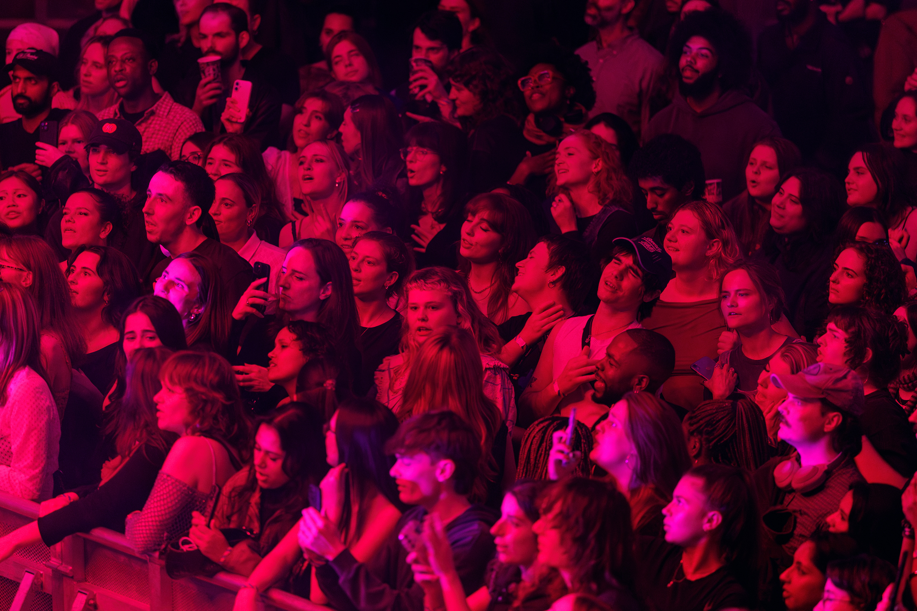 Blood orange fans burak cingi01