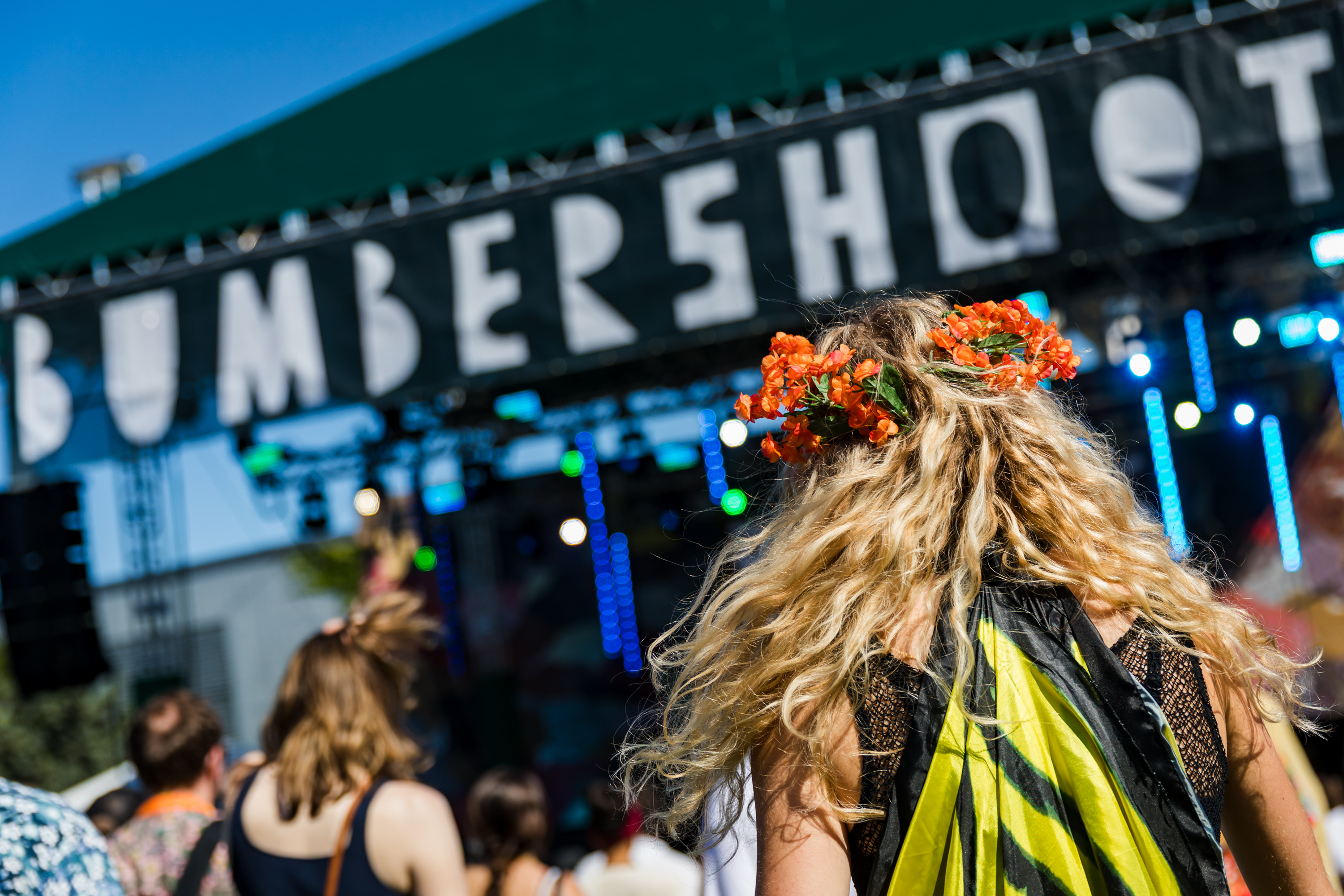 18 Flower crown