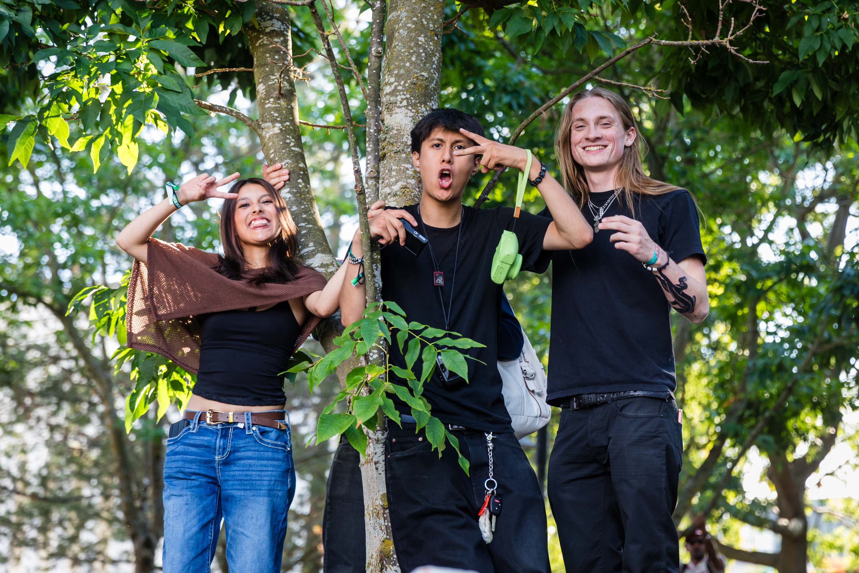 36 Tree people