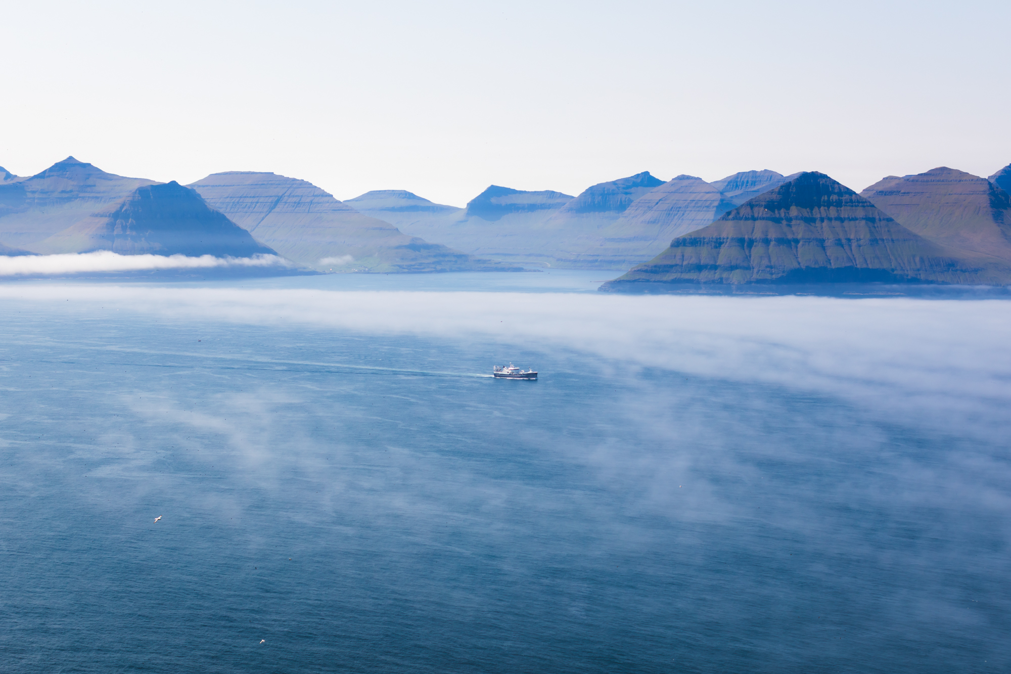Ferry in a fjord