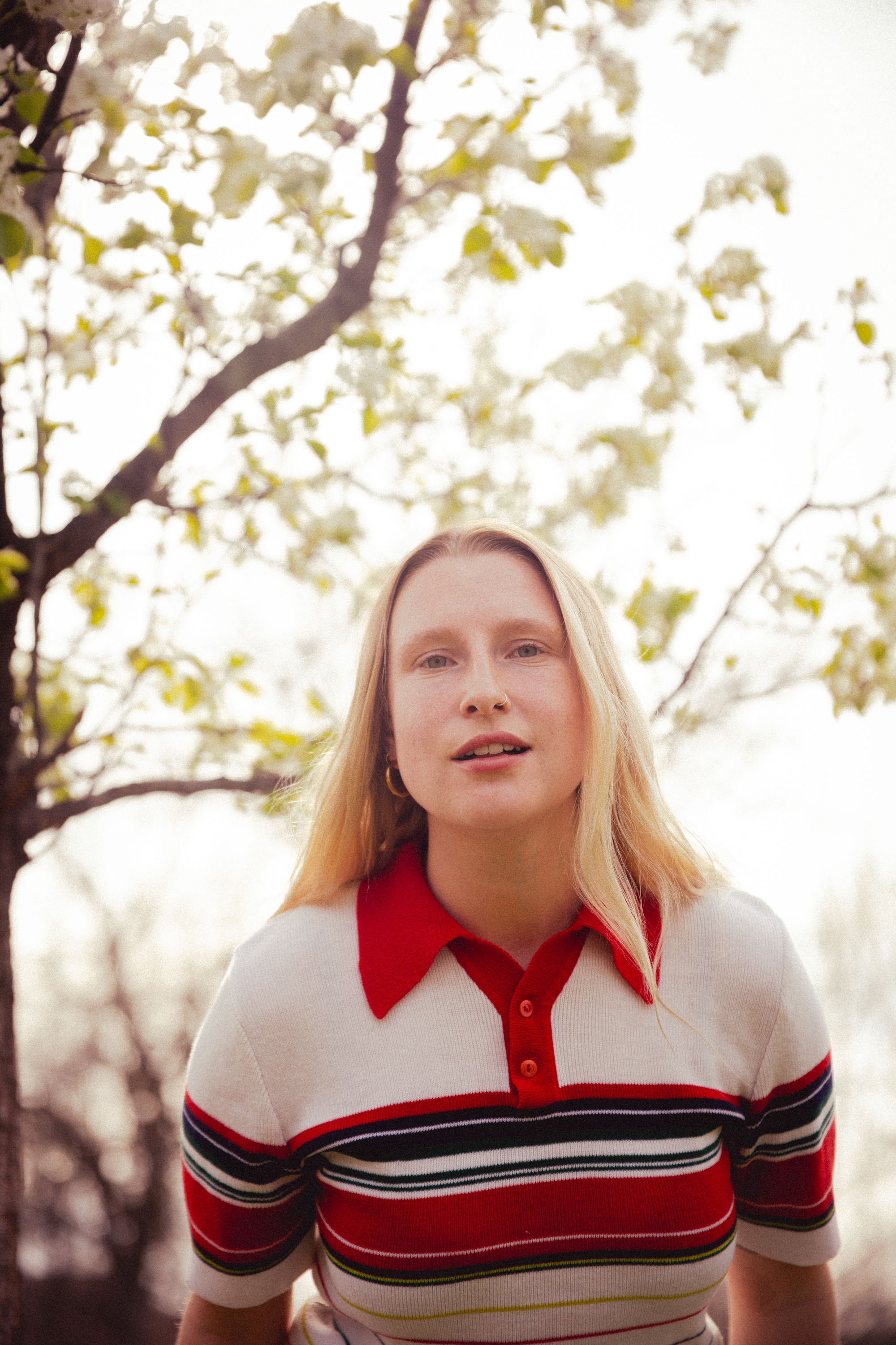 Treefort essay pix x lobf x JD 13