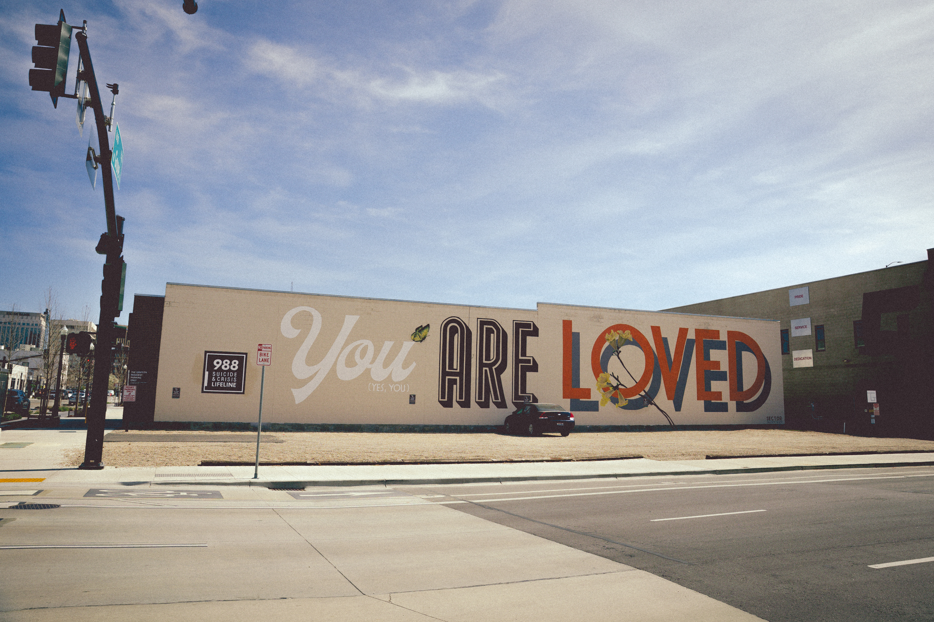 Treefort essay pix x lobf x JD 21