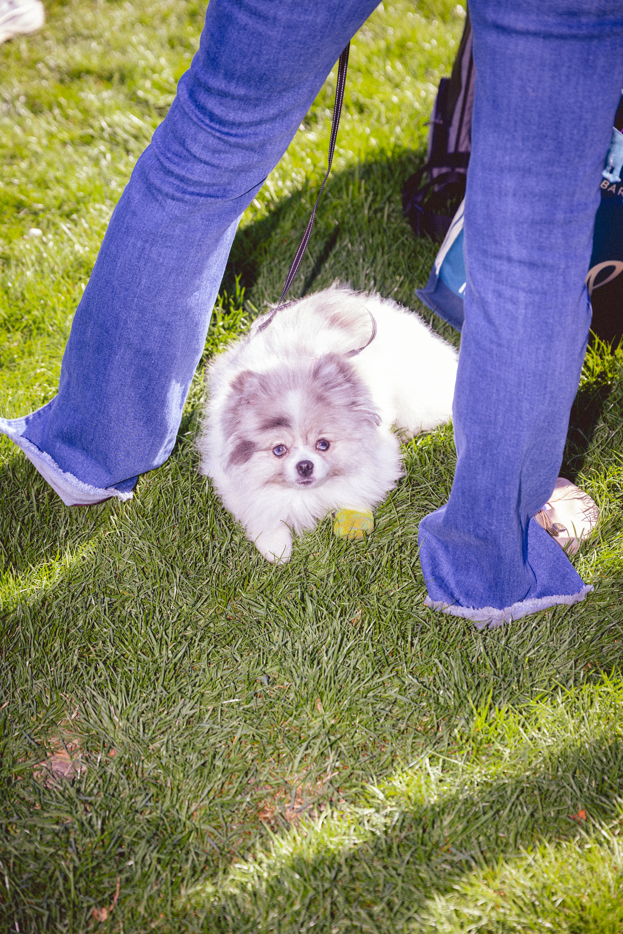 Treefort essay pix x lobf x JD 25