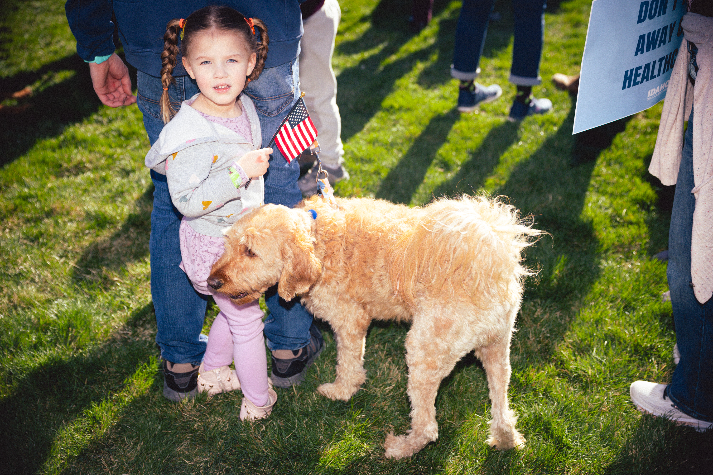 Treefort essay pix x lobf x JD 27