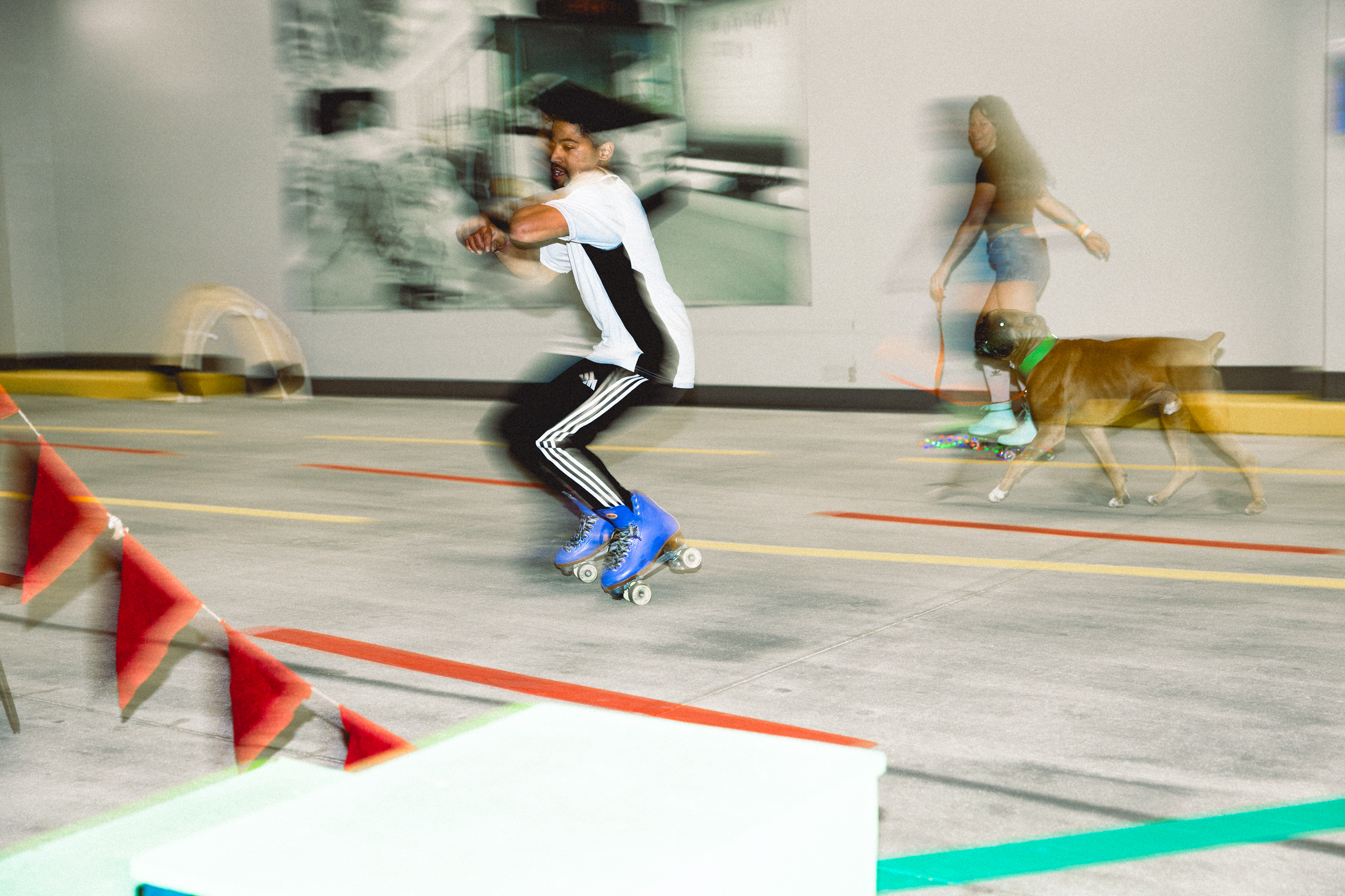 Treefort essay pix x lobf x JD 3