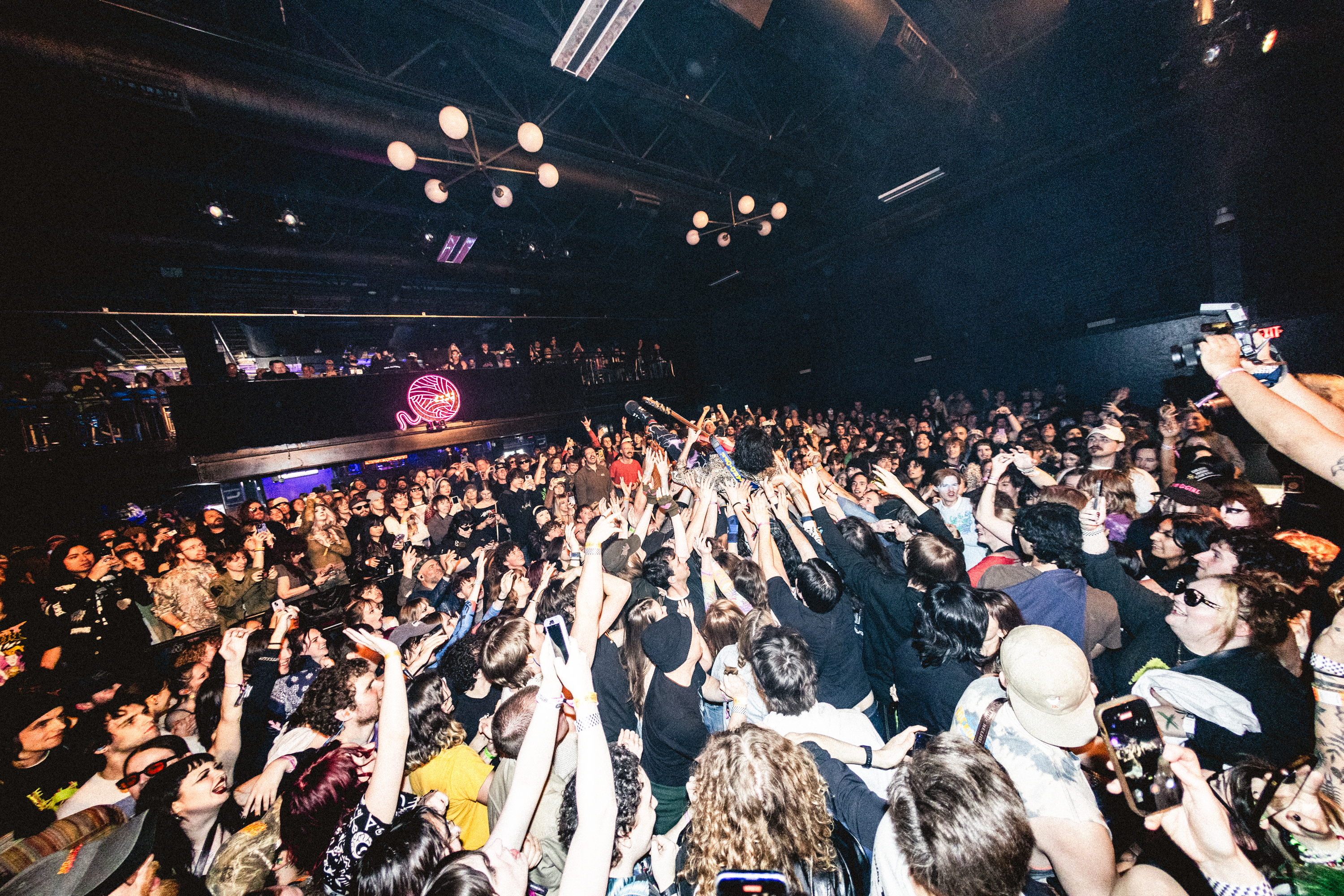 Treefort essay pix x lobf x JD 30