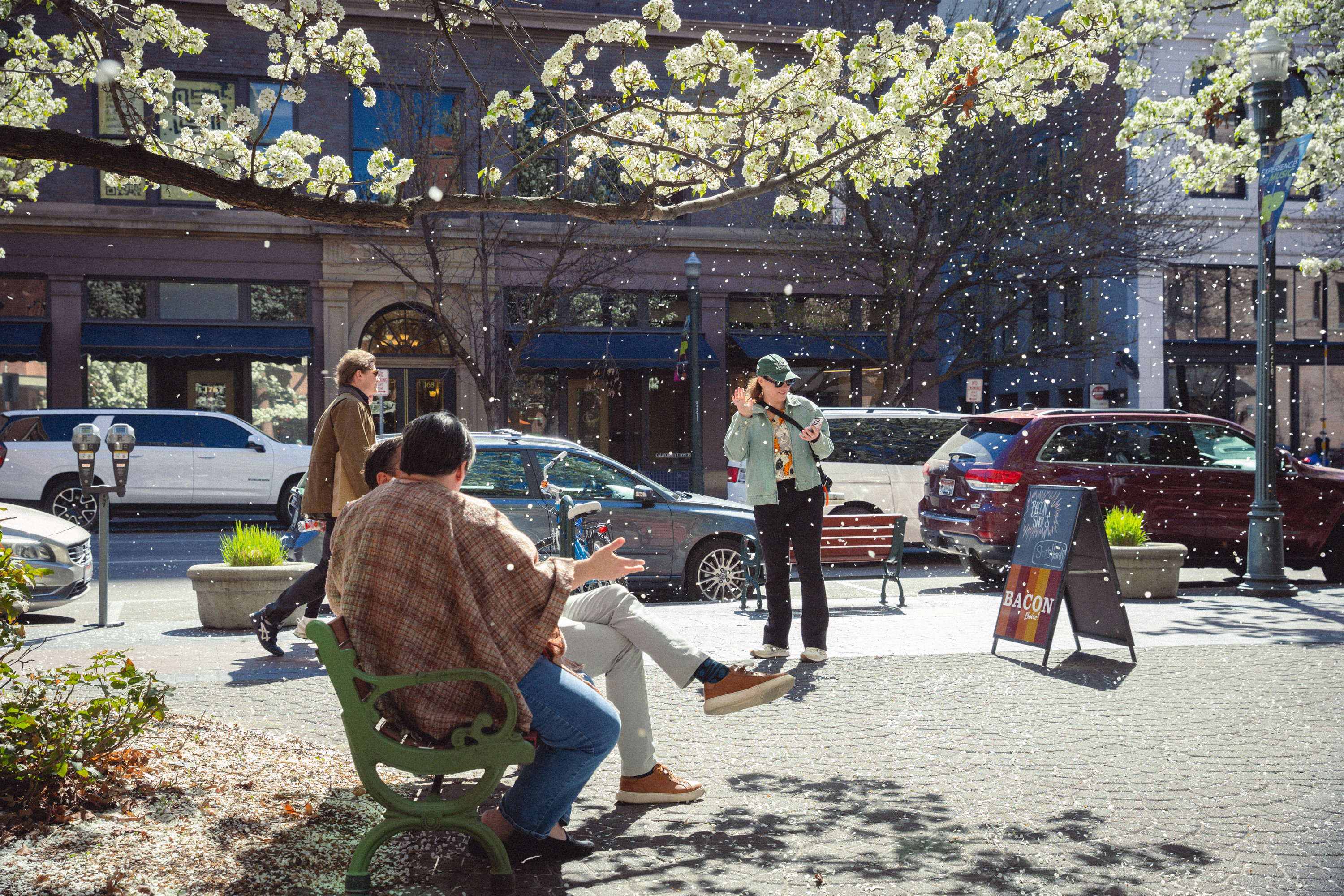 Treefort essay pix x lobf x JD 36