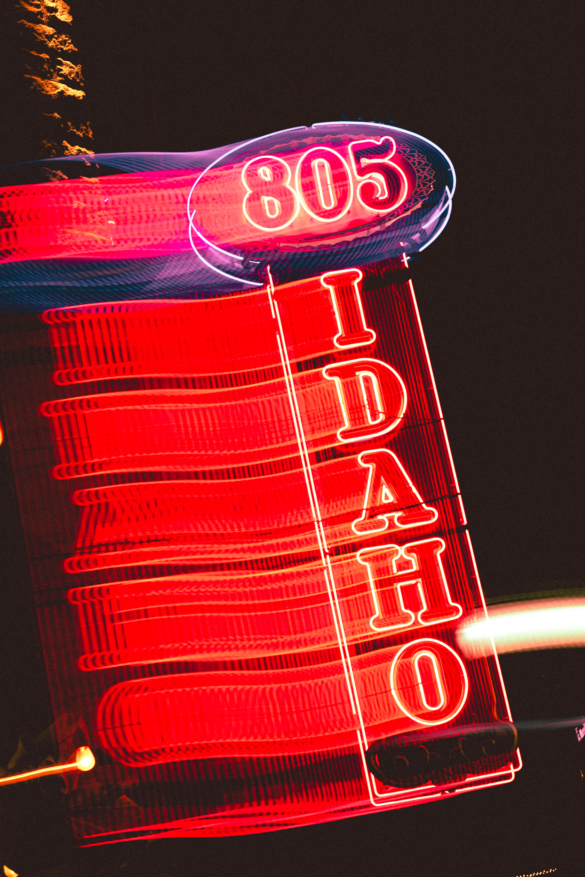 Treefort essay pix x lobf x JD 39