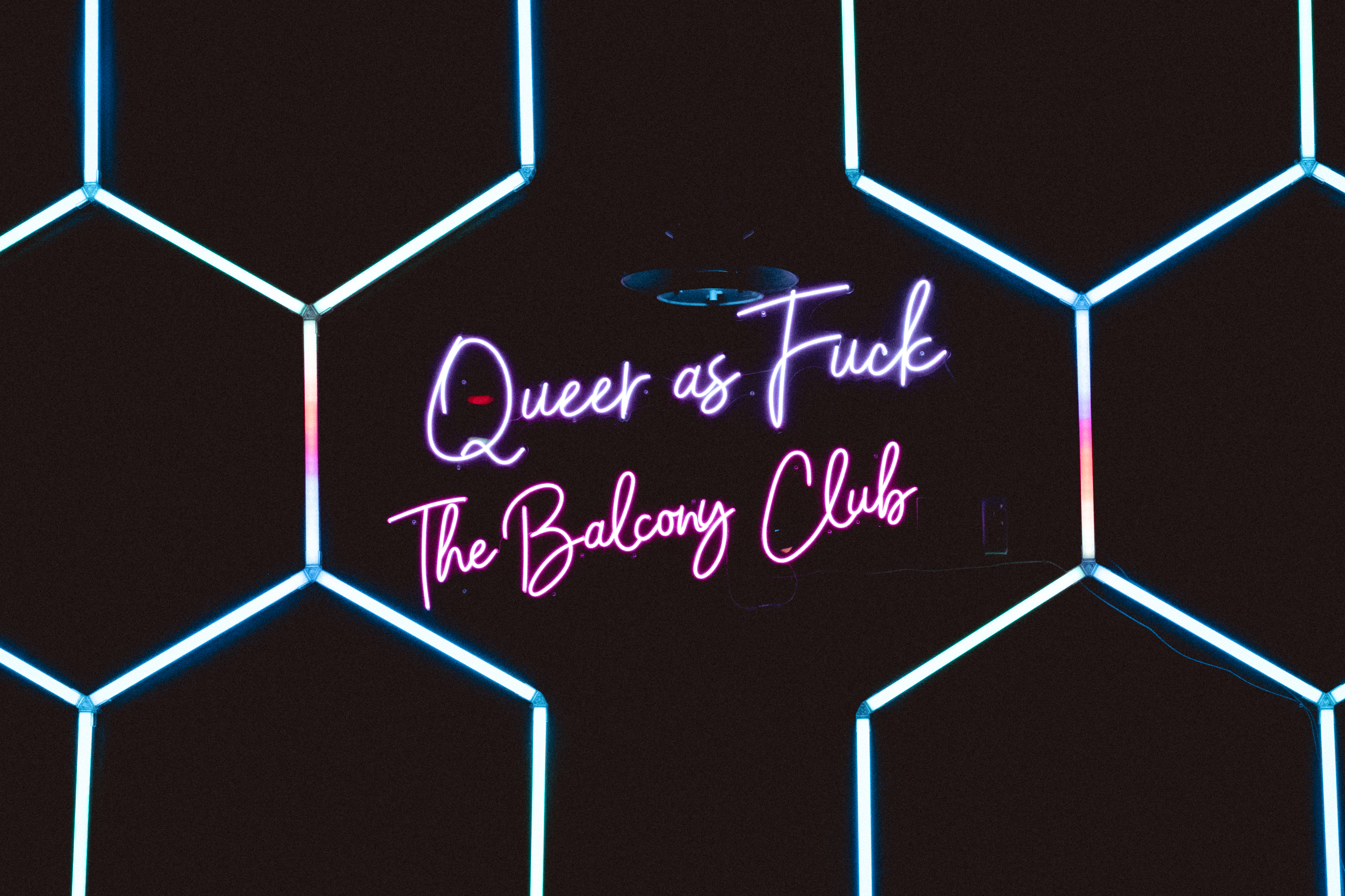 Treefort essay pix x lobf x JD 41