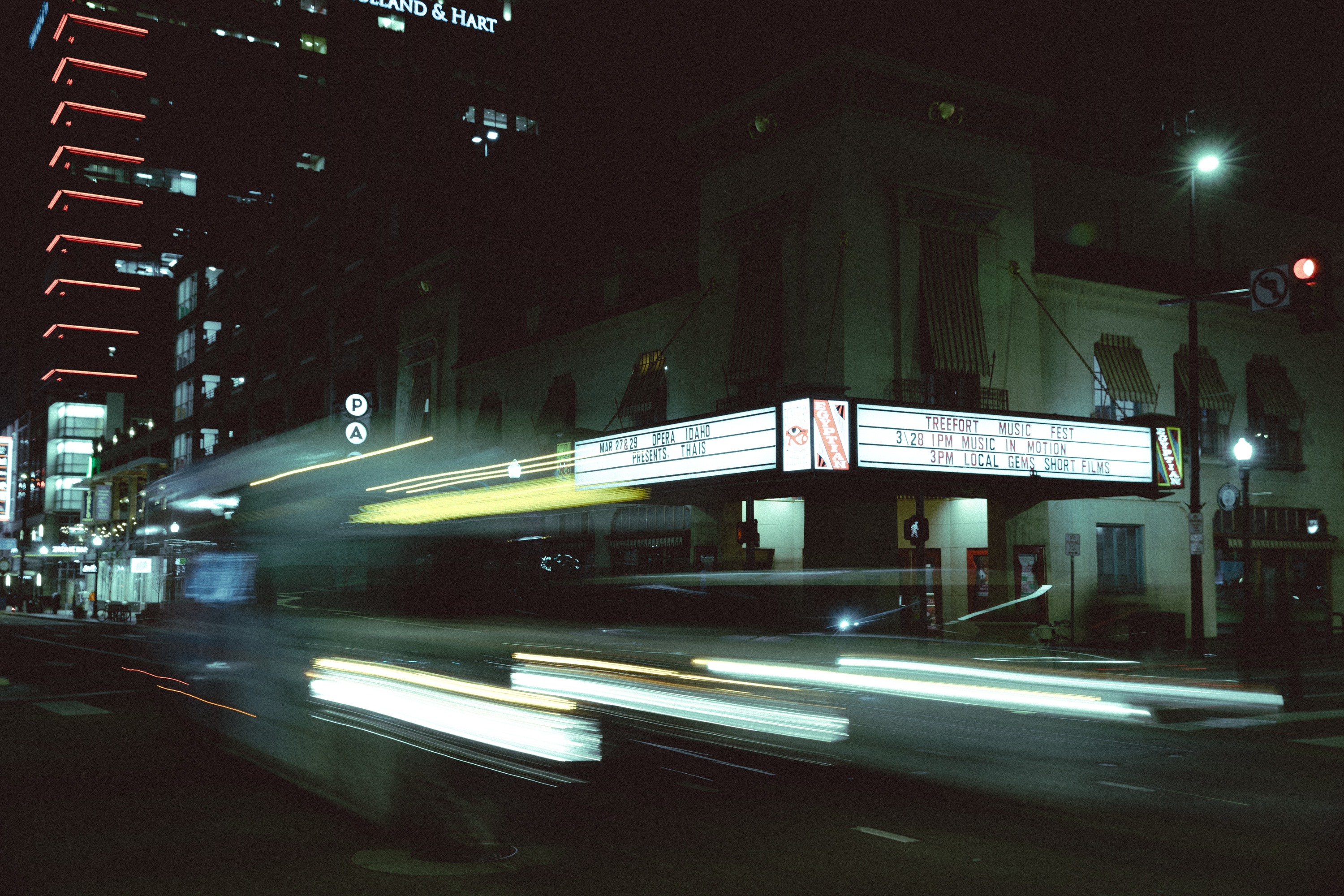 Treefort essay pix x lobf x JD 43