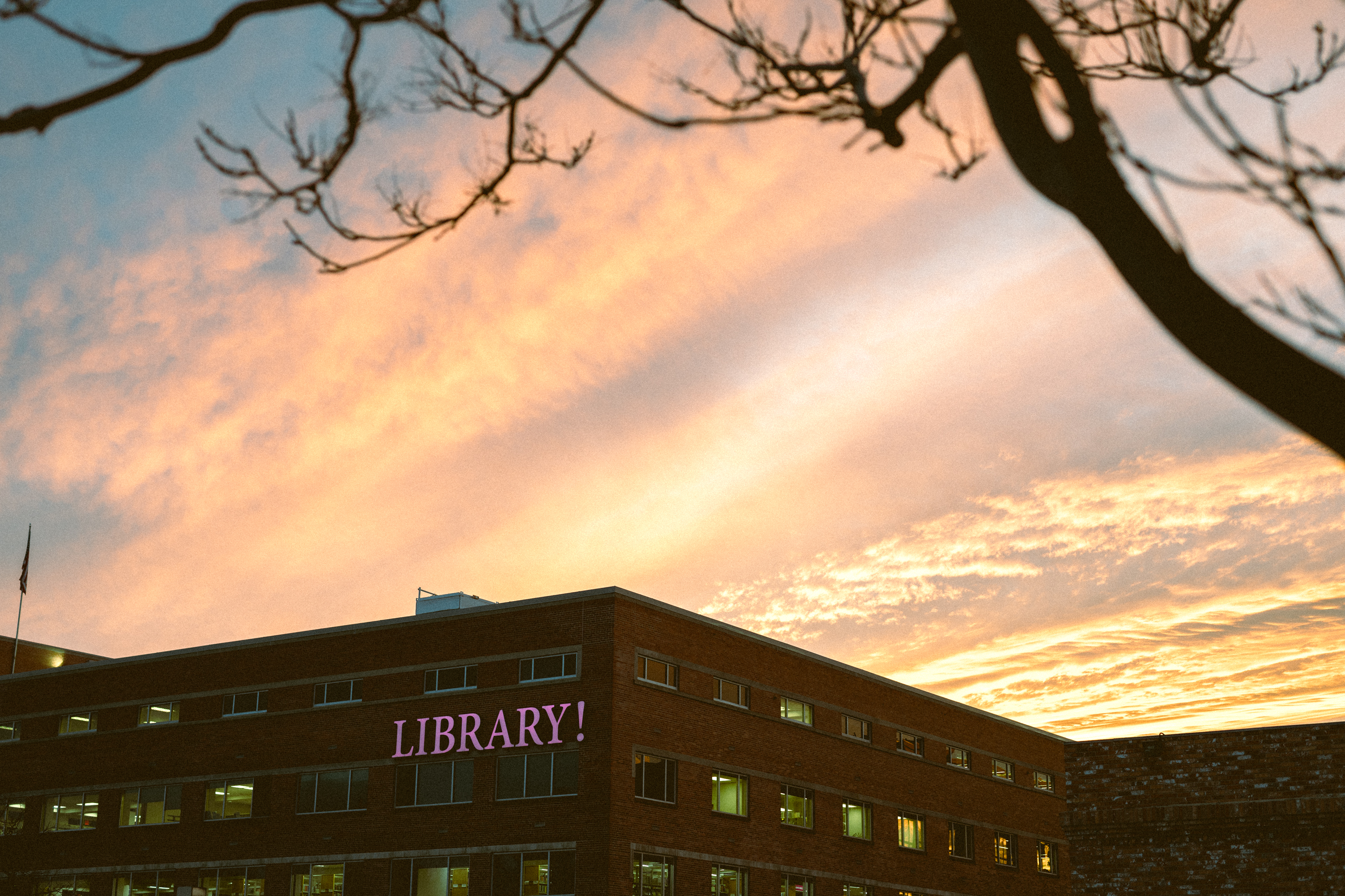 Treefort essay pix x lobf x JD 50