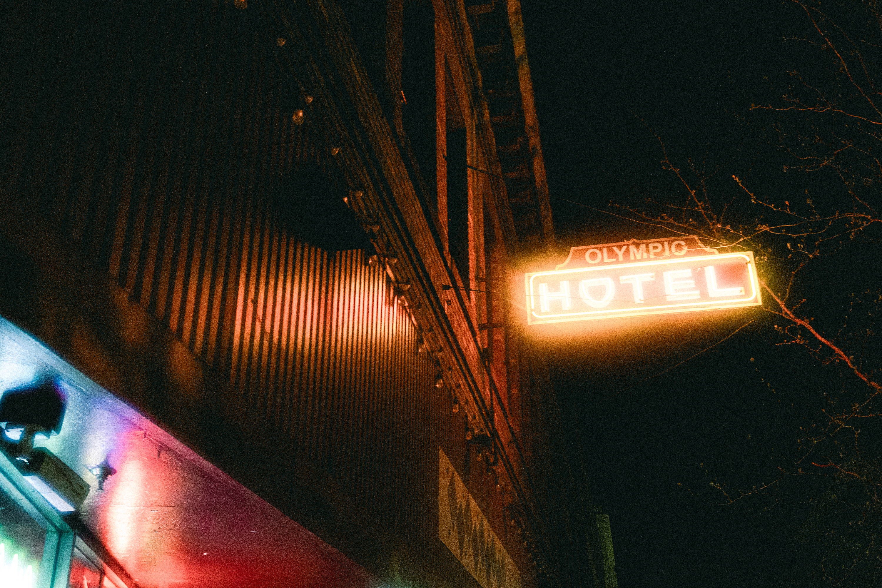 Treefort essay pix x lobf x JD 9