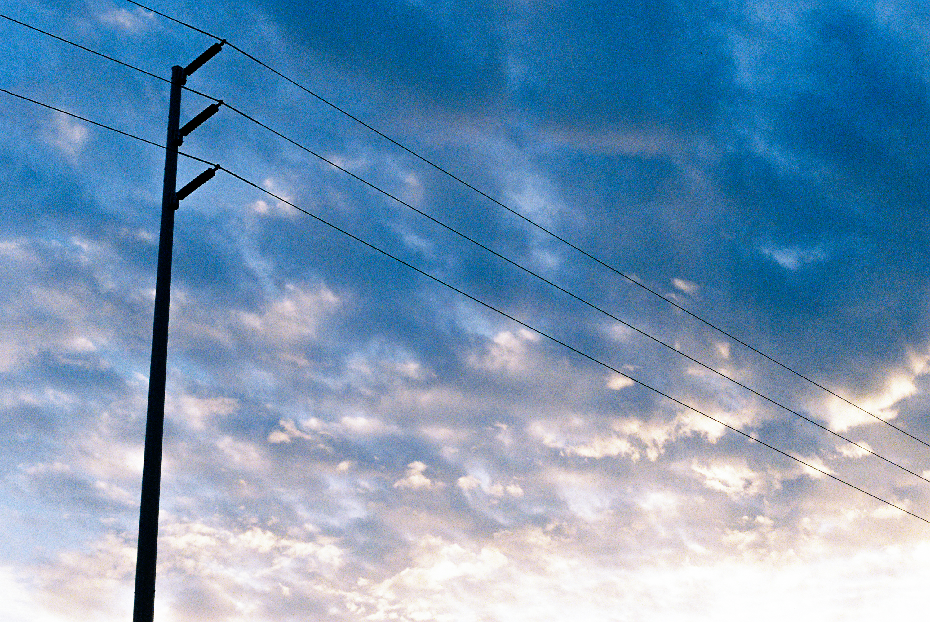 Treefort film pics x lobf x JD 37