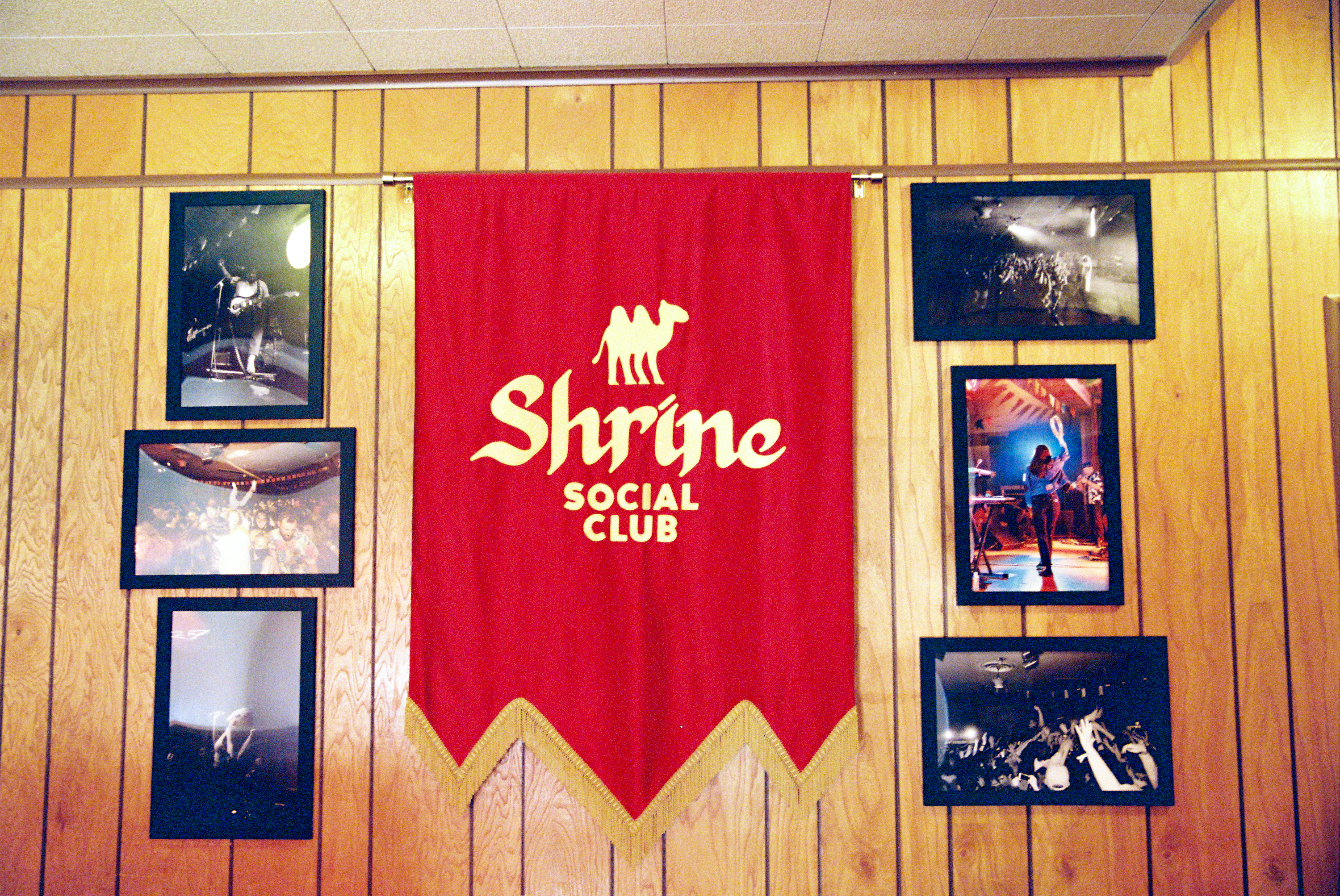 Treefort film pics x lobf x JD 54