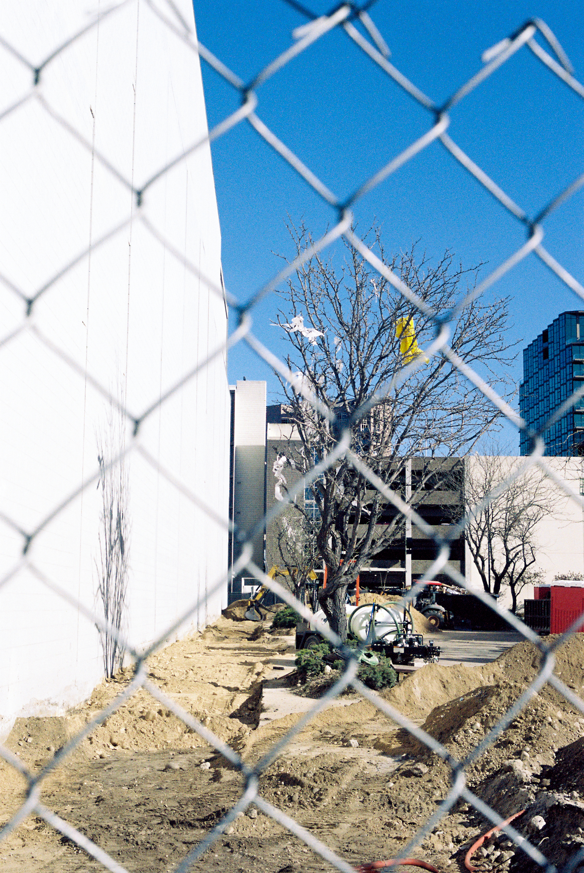 Treefort film pics x lobf x JD 70