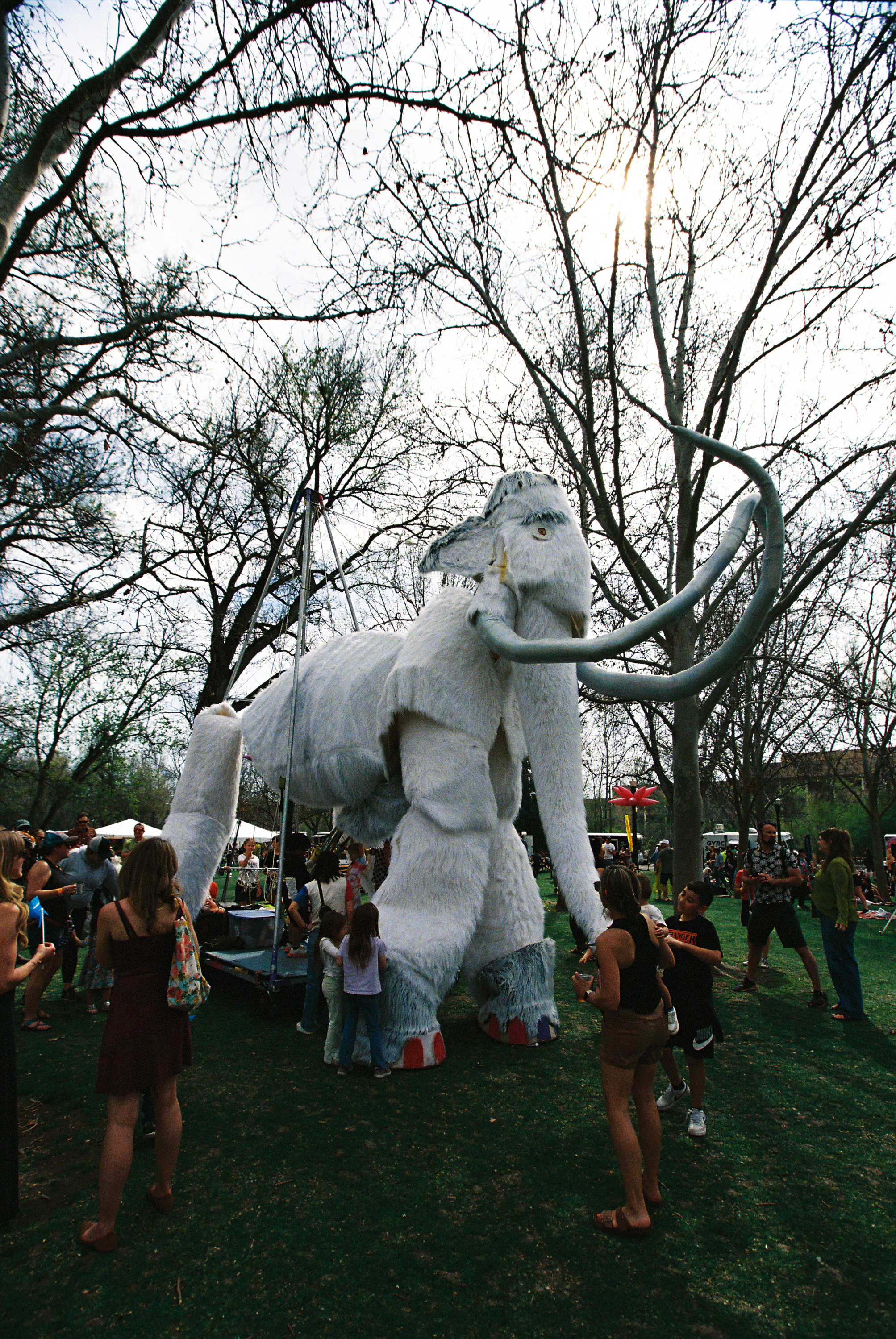 Treefort film pics x lobf x JD 80