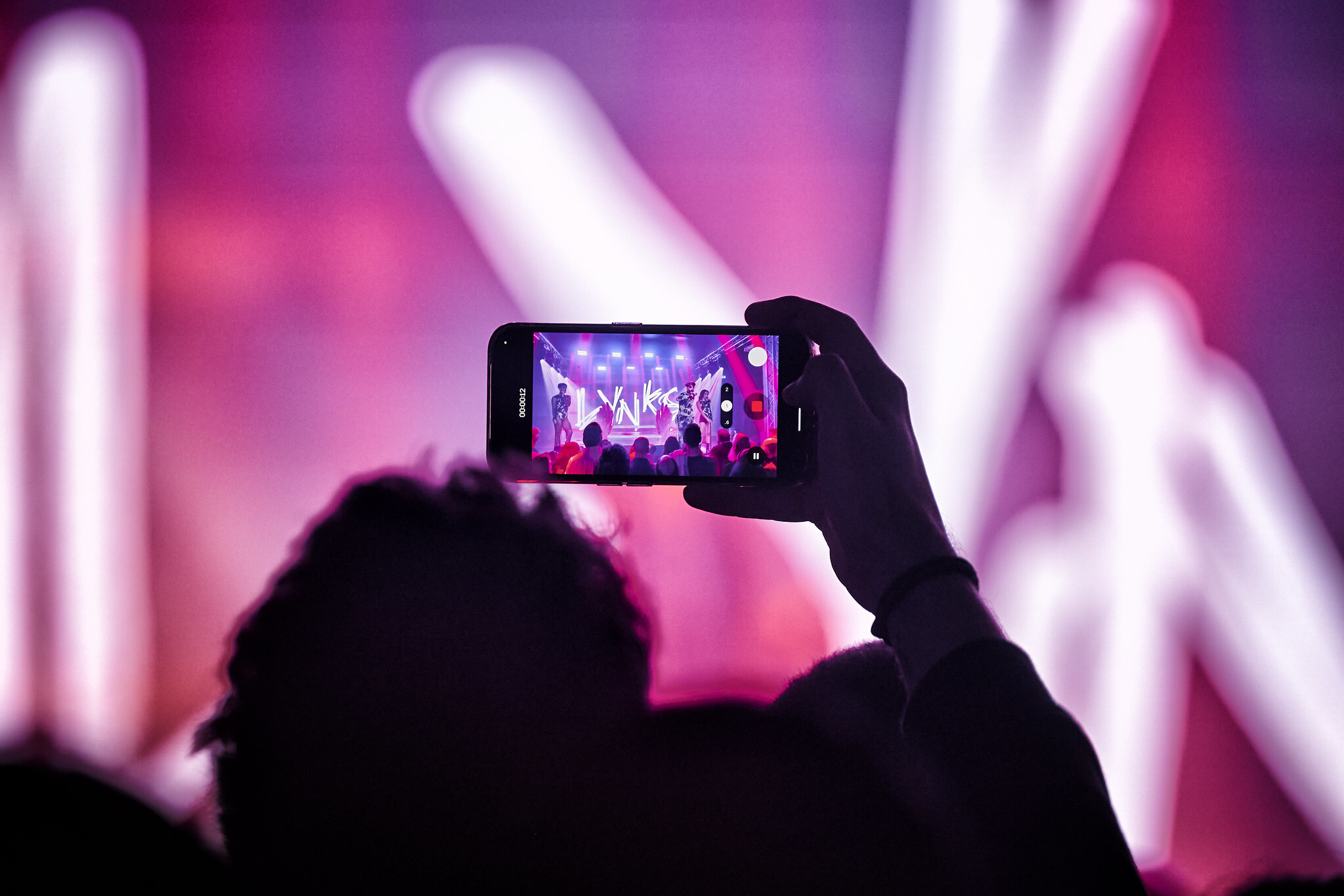 54125689433 49ad760341 k