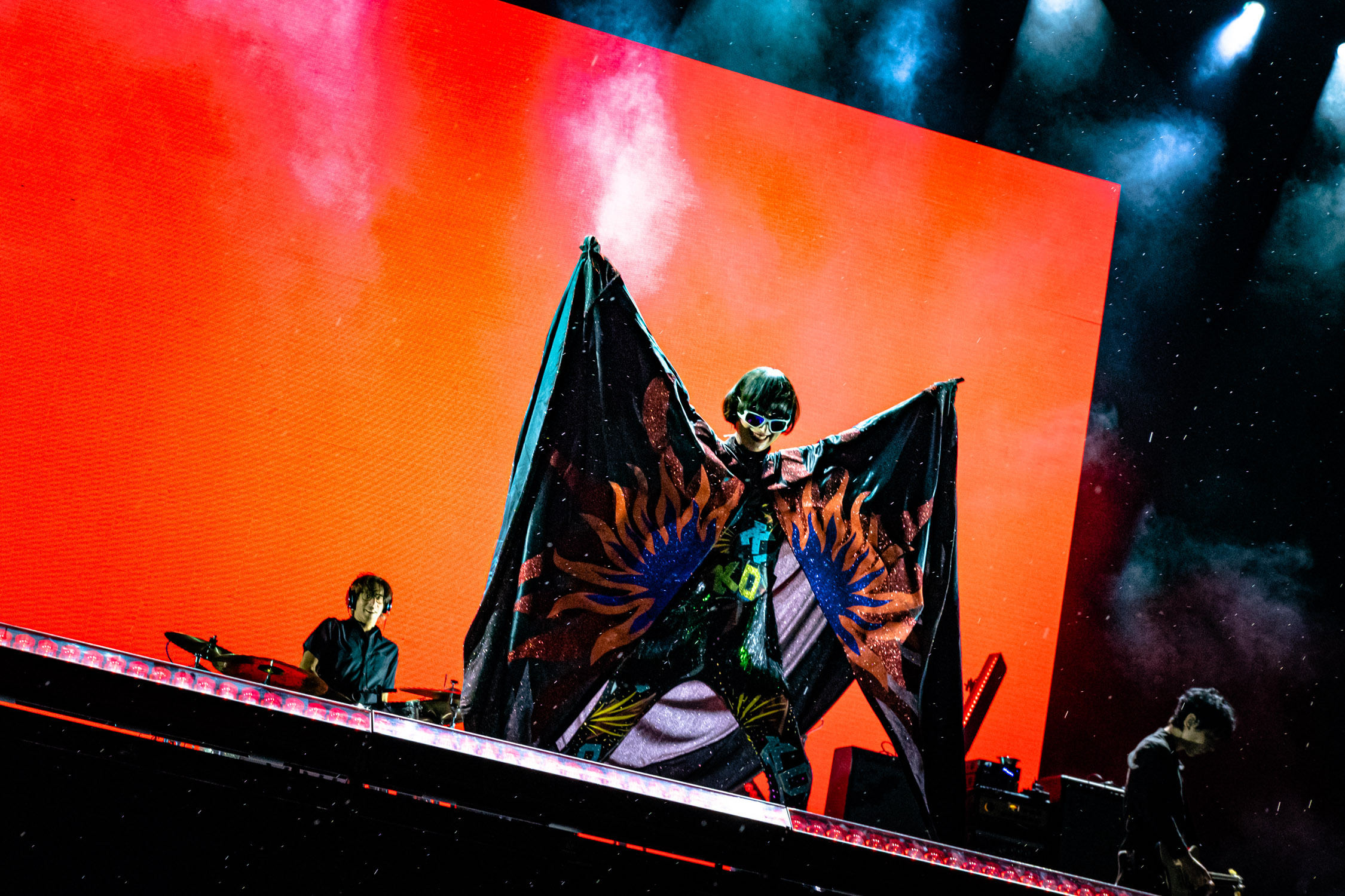 APE Yeah Yeah Yeahs Chris Almeida