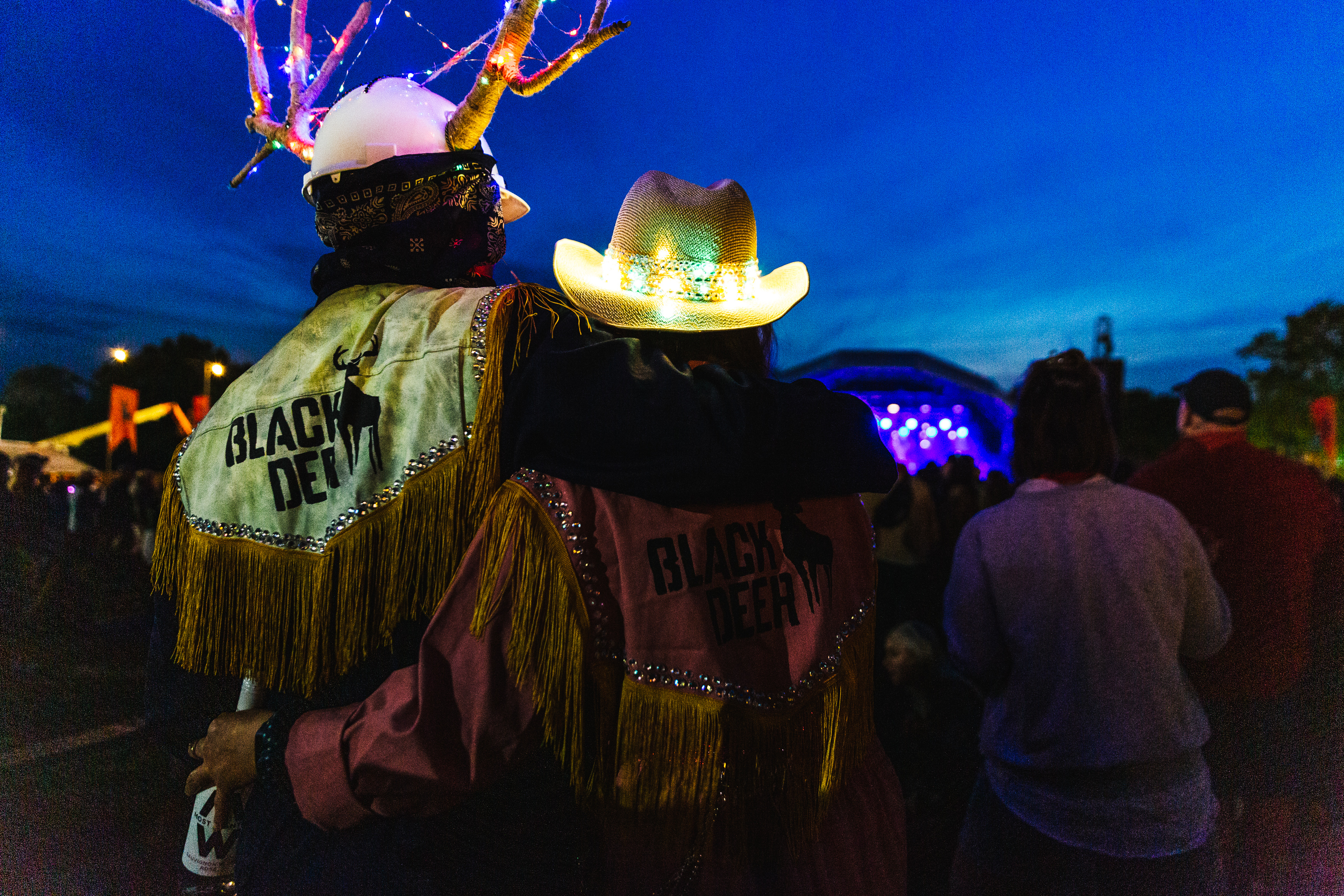 Blackdeer2023 George Harrison 16