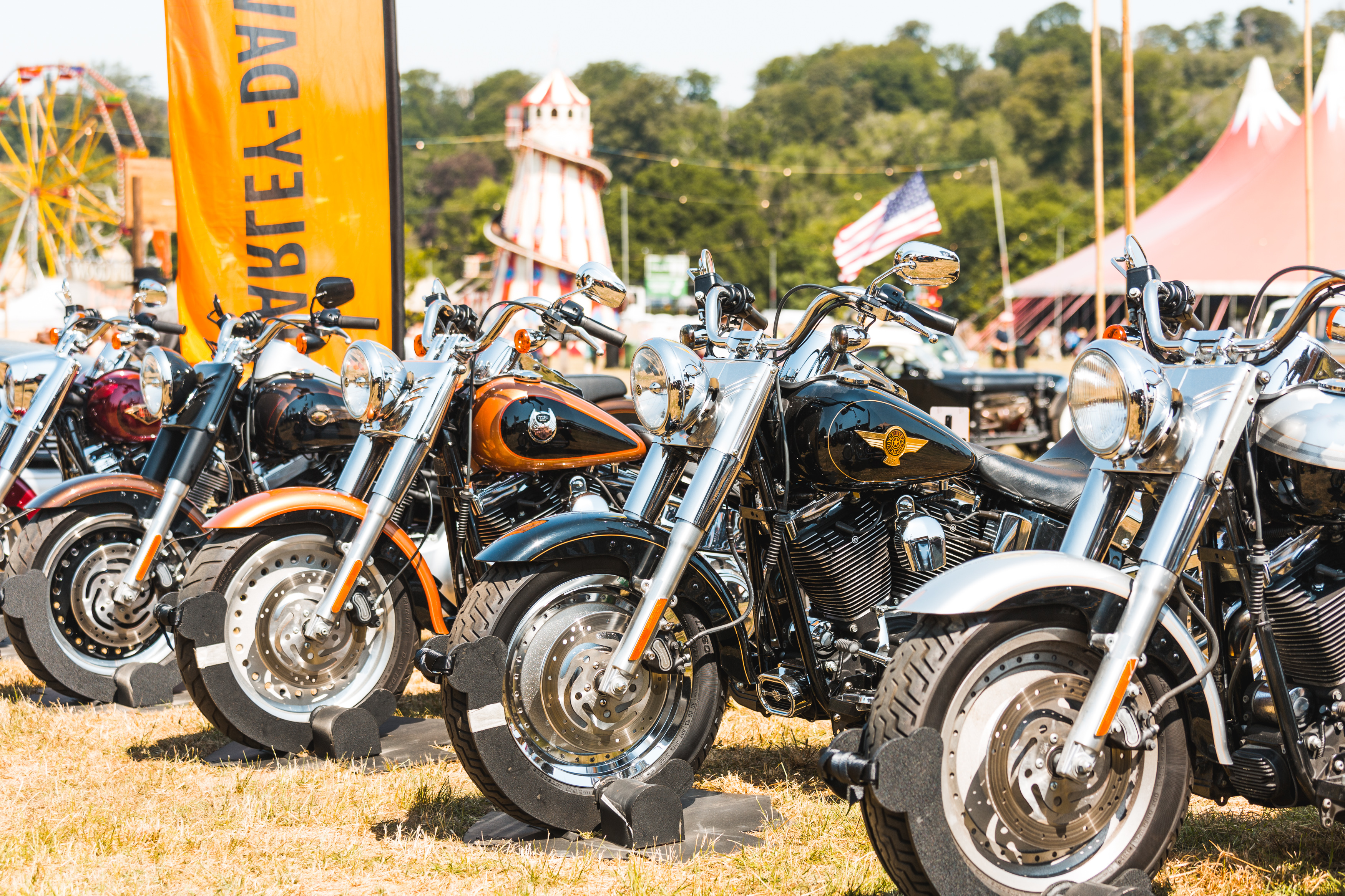 Blackdeer2023 George Harrison 5