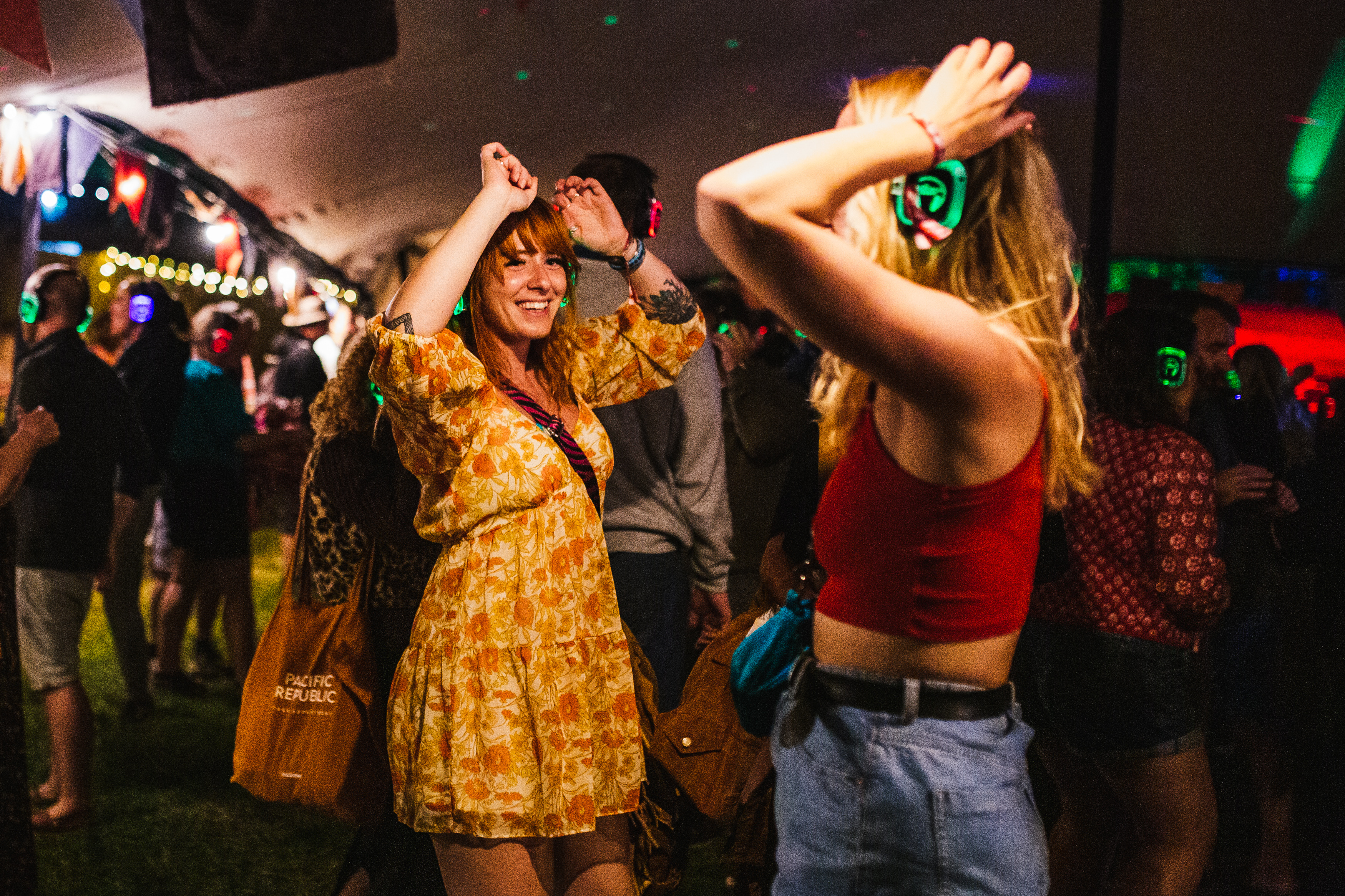 Blackdeer2023 George Harrison 7