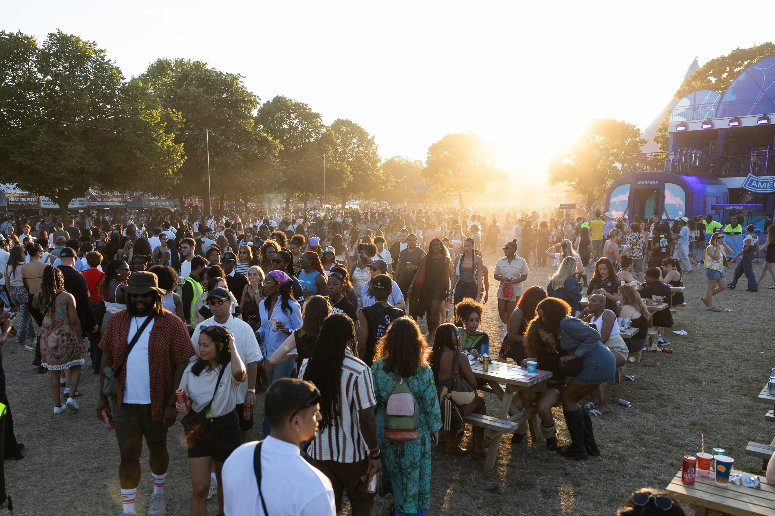 Crowd ape 2024 burak cingi