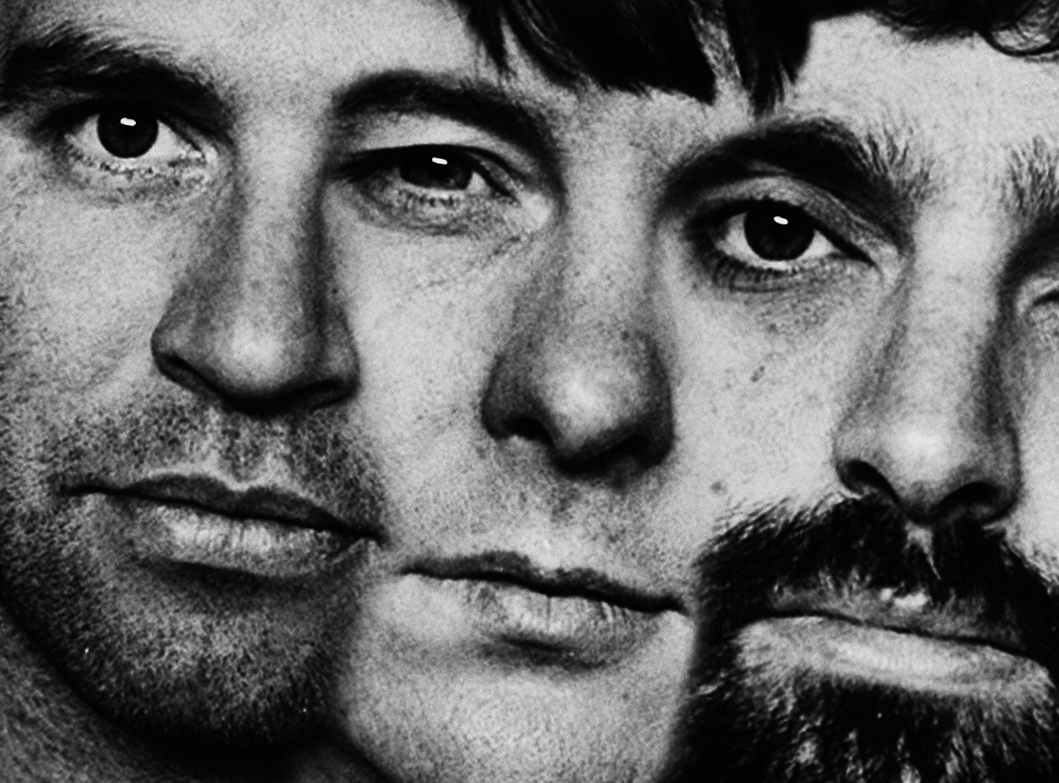 1500 Animal Collective 2 by hollie fernando 2000 1478