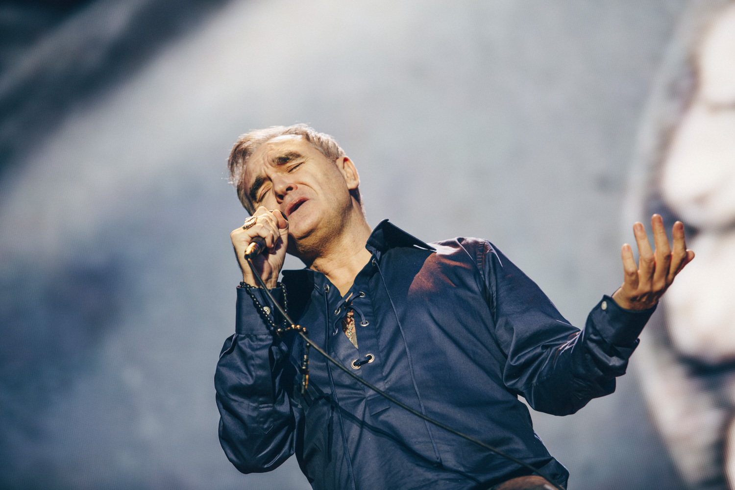 160811 morrissey annika berglund 0019