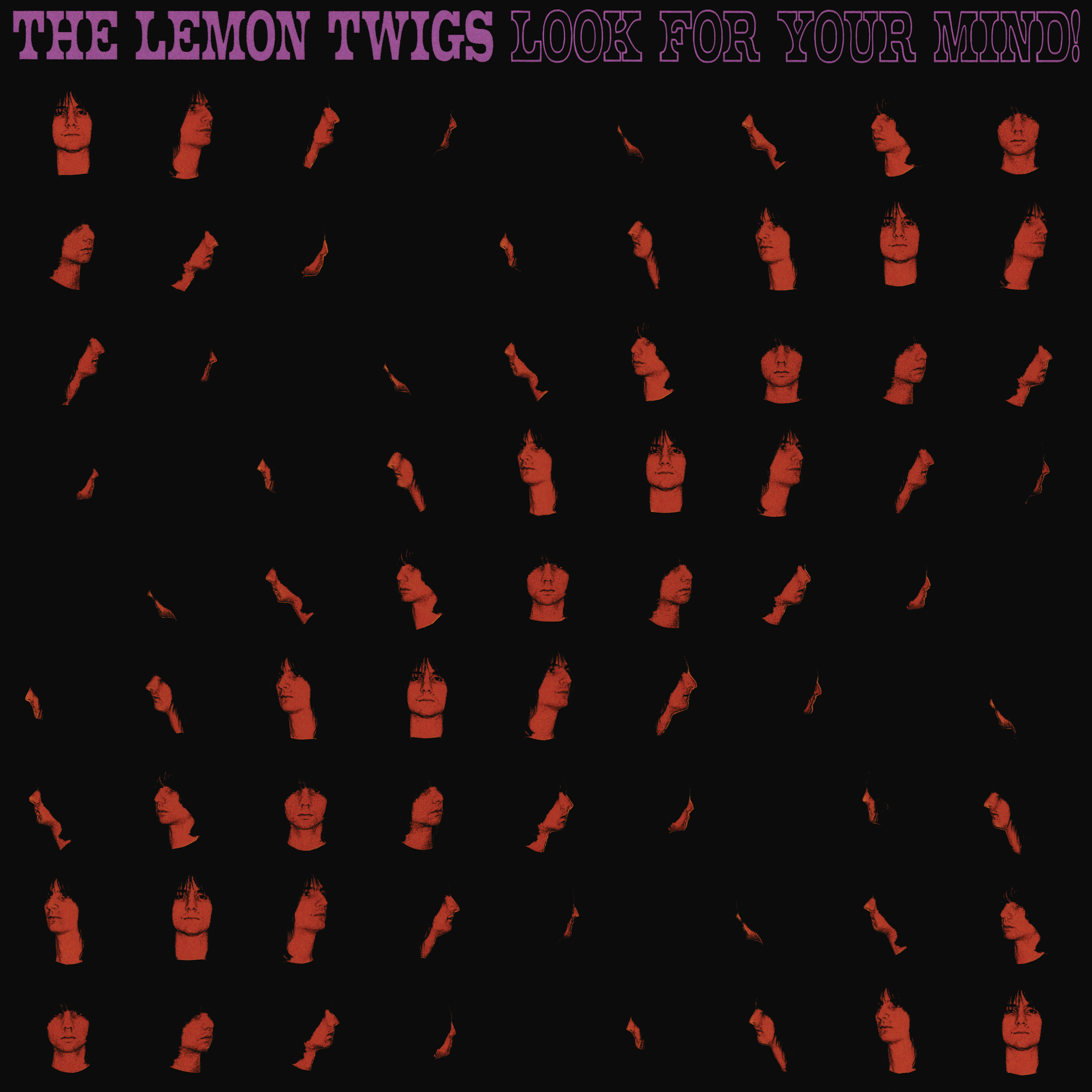 20 The Lemon Twigs Mind Album Art