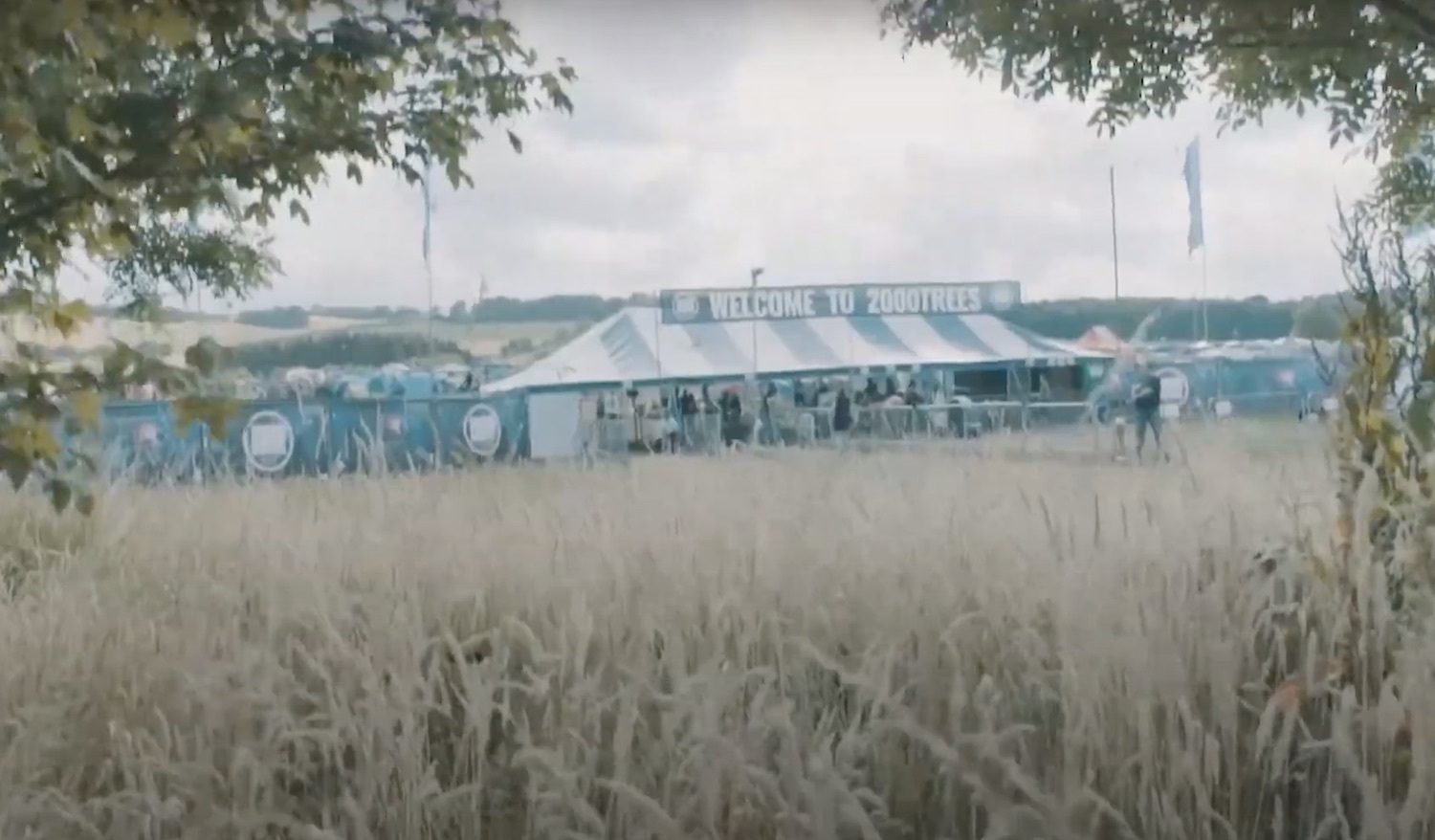 2000 trees 2019 video youtube