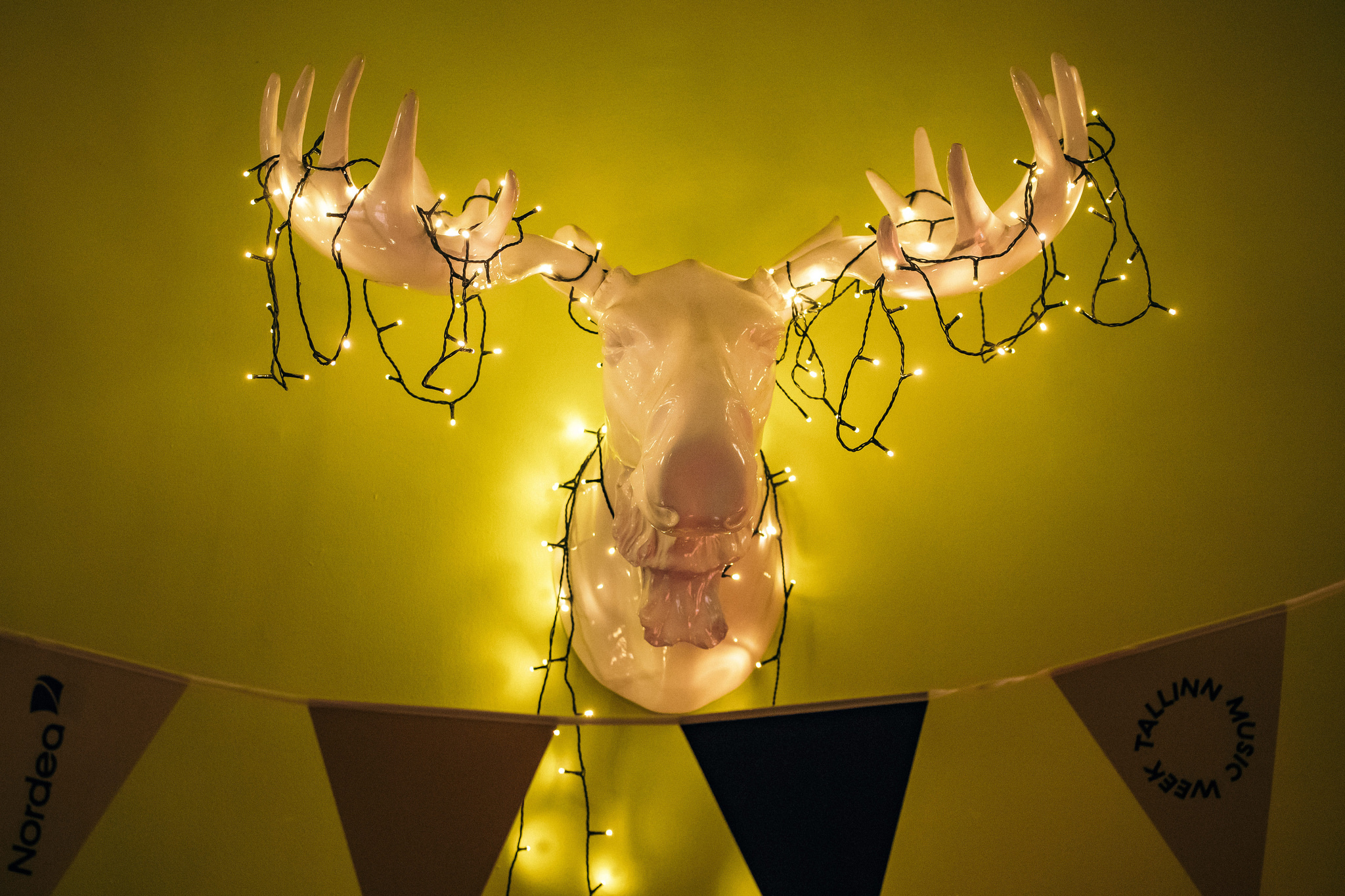 26230749815 52ca2d88c8 k