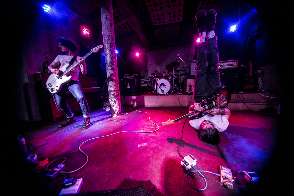 27 PAWS Stereo 25062016 davidmcandrew