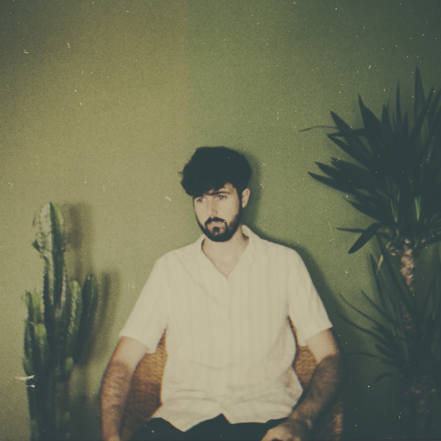 2 Pali Gap Original Polaroid