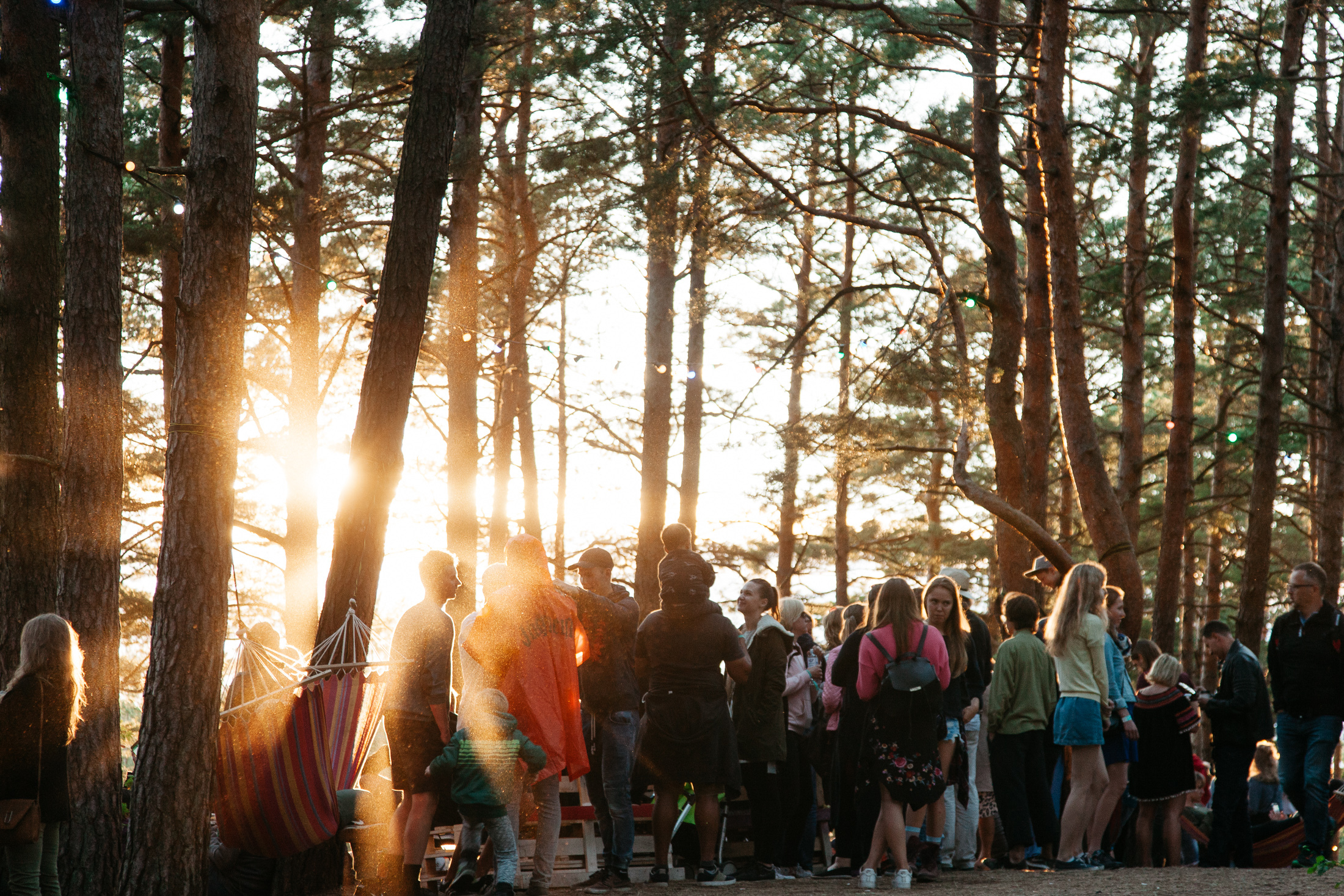 35958673732 74e61fbce7 o