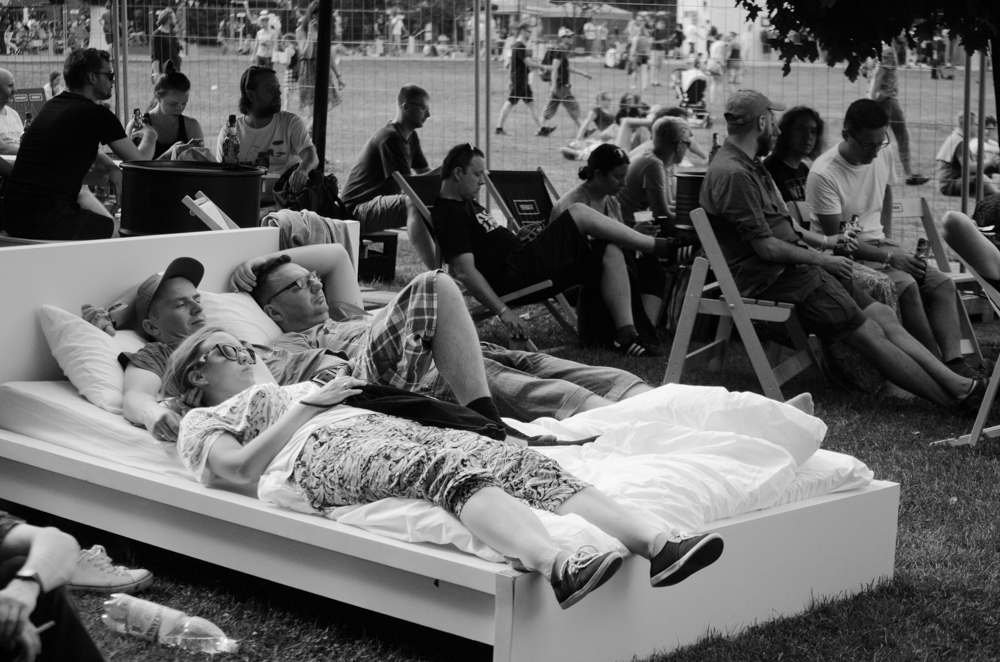 36295753461 d735d64e55 o