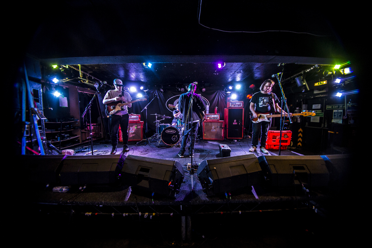 3 PUP King Tuts 18082016 davidmcandrew