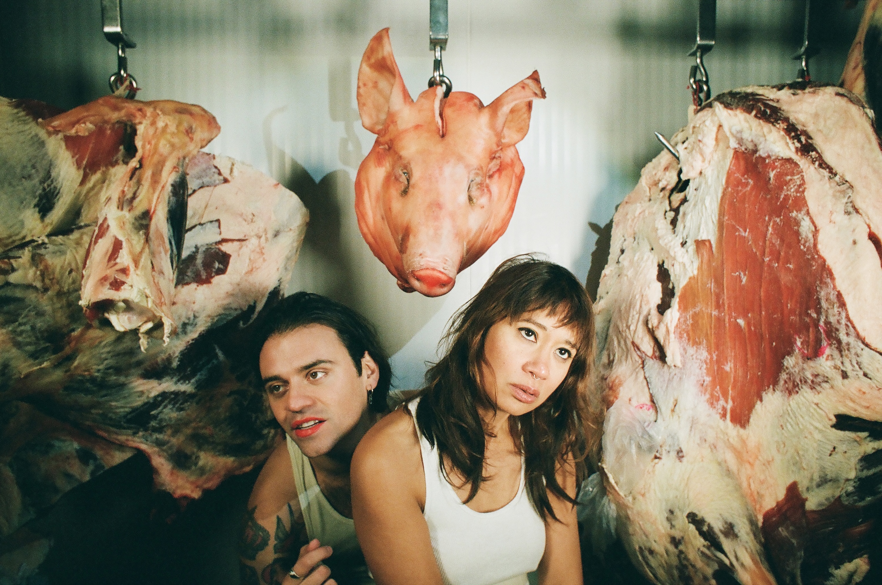 3 DVTR Photo de presse par Ariana Molly 1