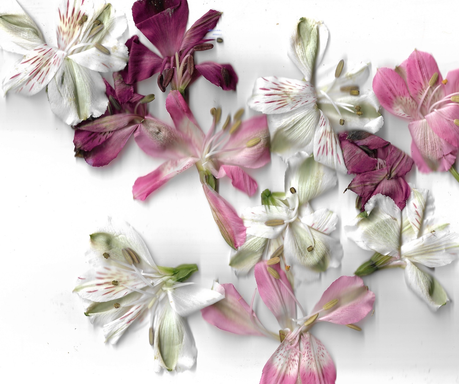 404 Blind Spot artwork