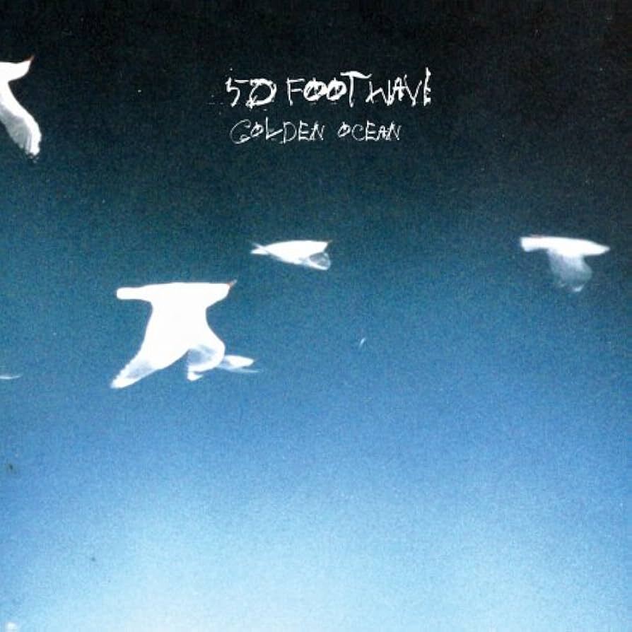 50footwave goldenocean
