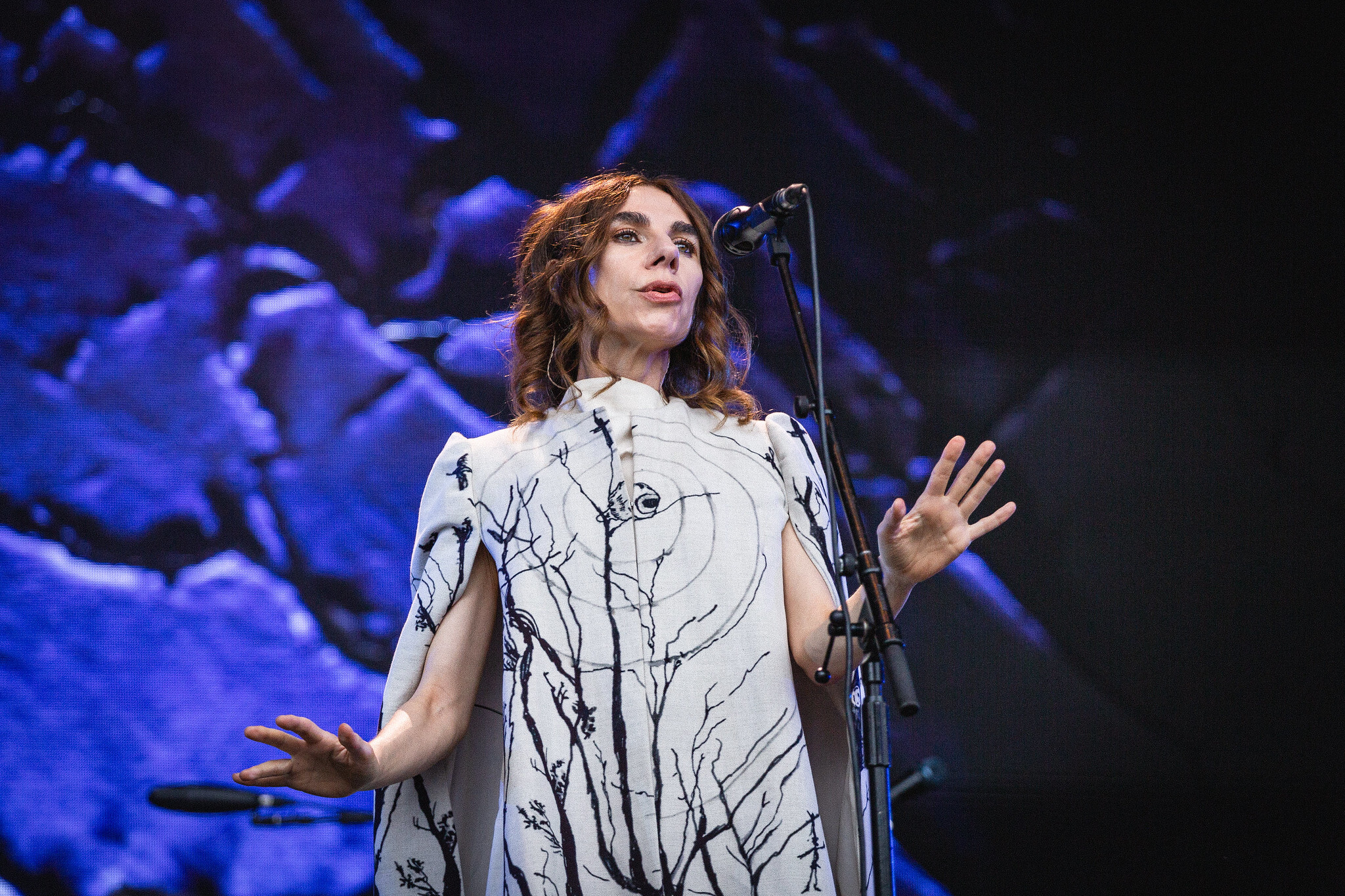 53908616593 9bc3ce5292 k