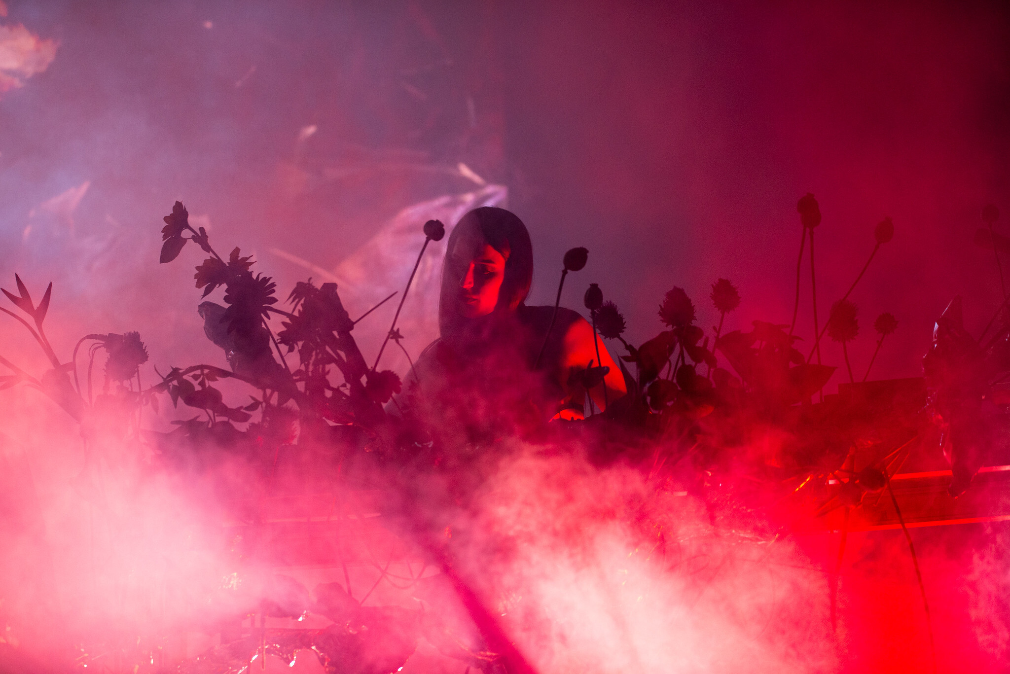 53913375795 f41f0bf6a7 k