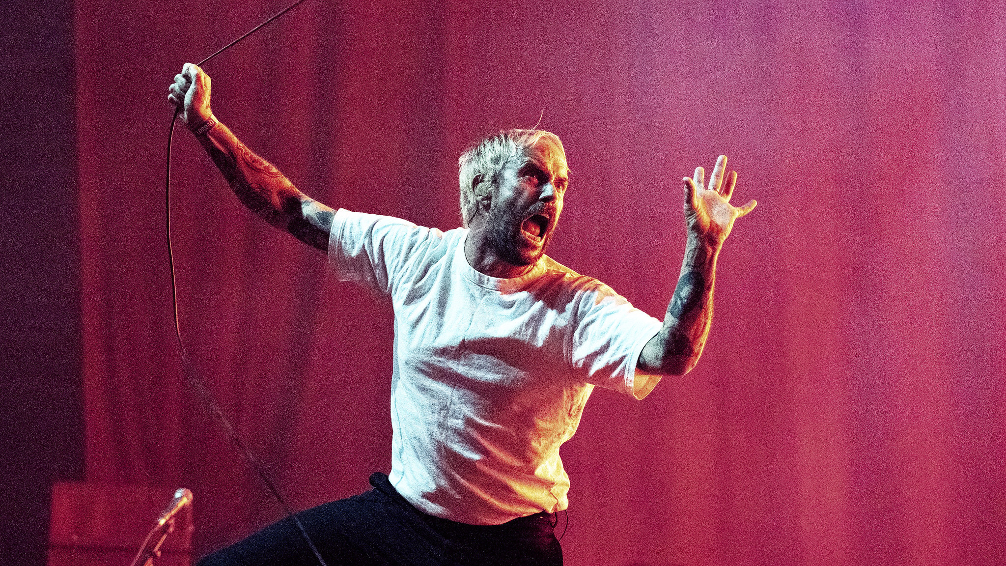 53915016218 5e492498c9 k