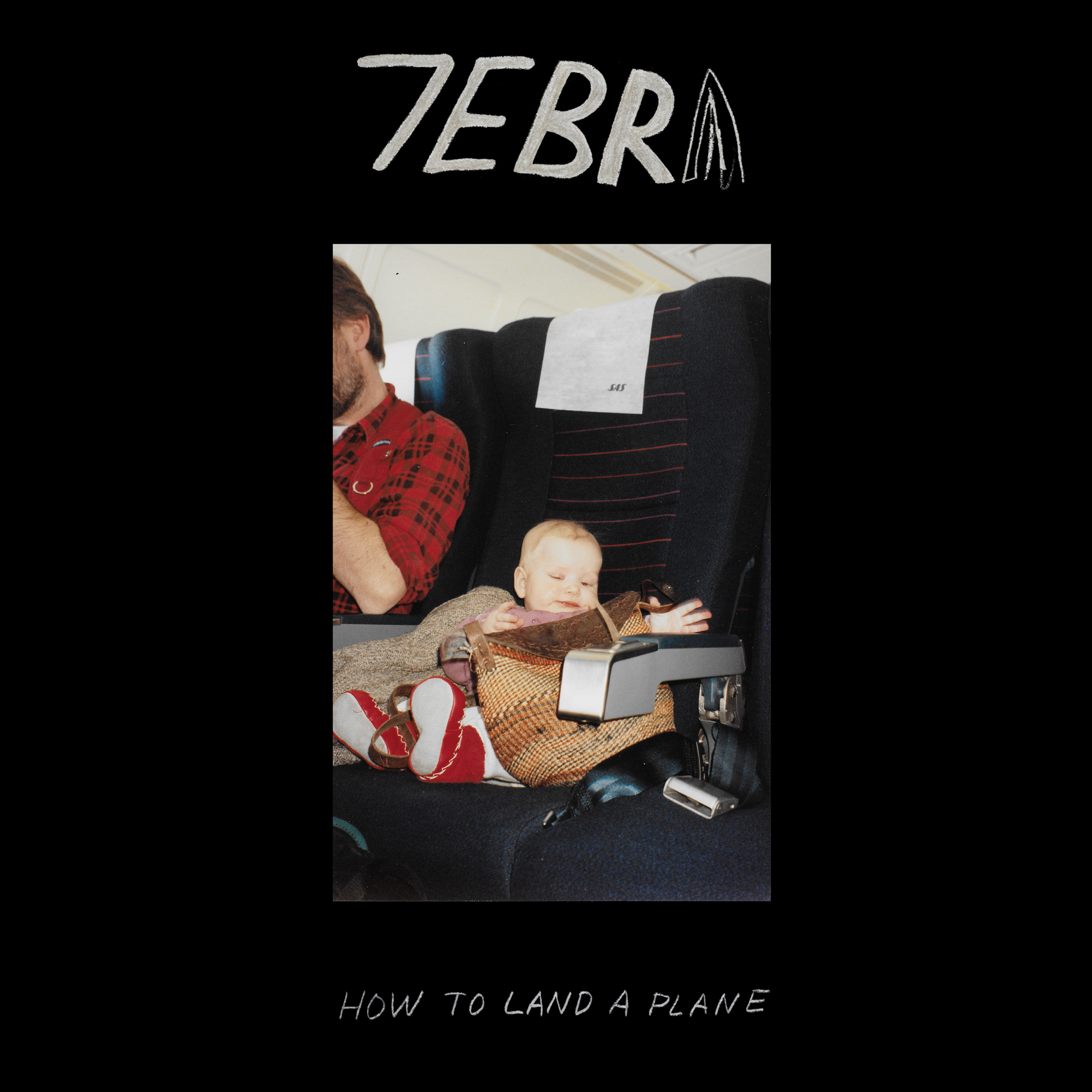 7ebra How to Land a Plane Digital artwork