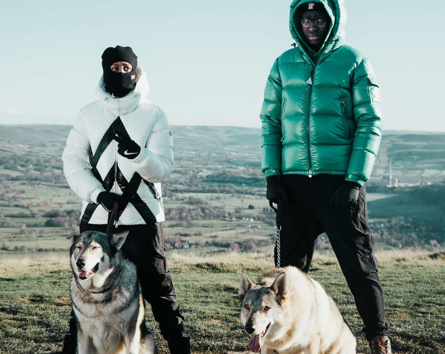 A1 X J1 dogs hilltop