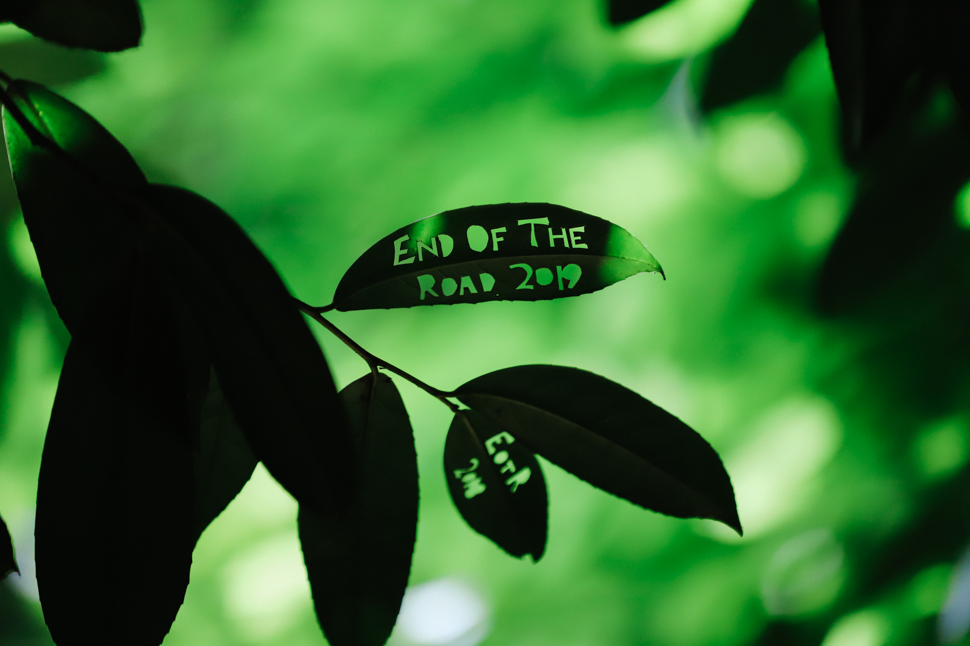 ATMOSPHERE EOTR2019 sharonlopez IMG 7722 2